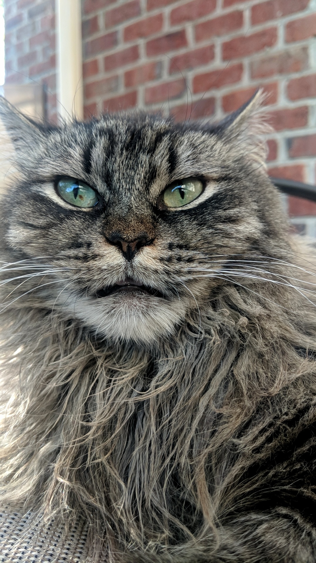 On a Scale of One to Ten, How Photogenic Is Claire