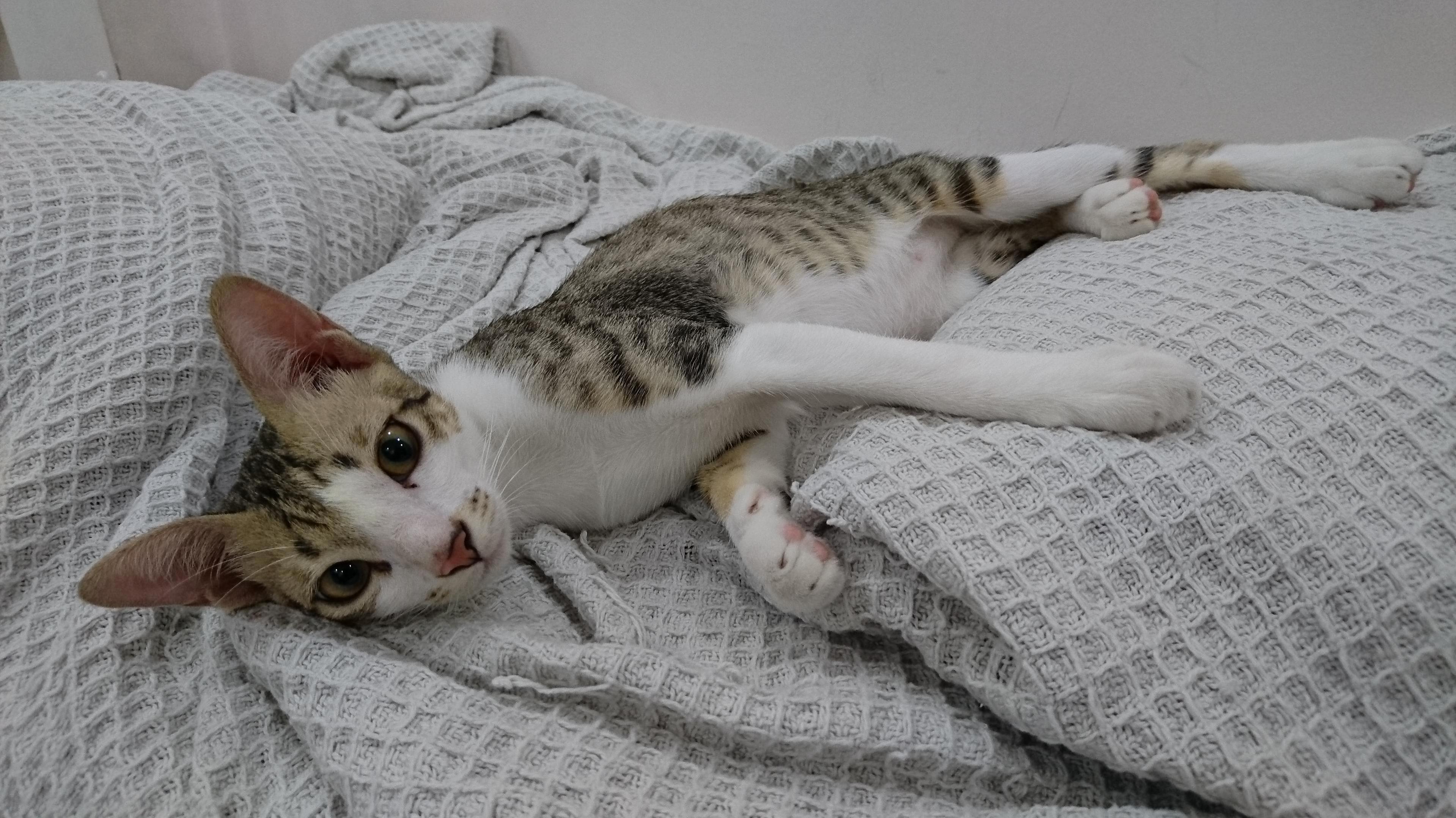 One of the Most Handsomest Faces I Know