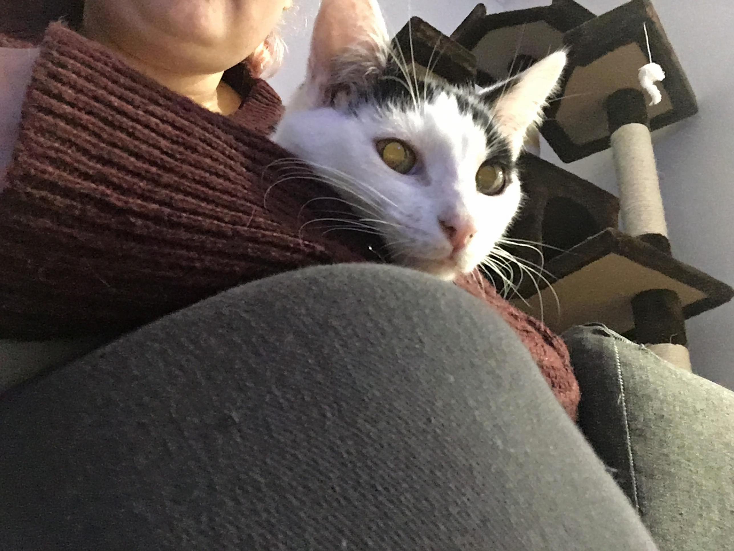 Oreo Looking a Little Like a Demon