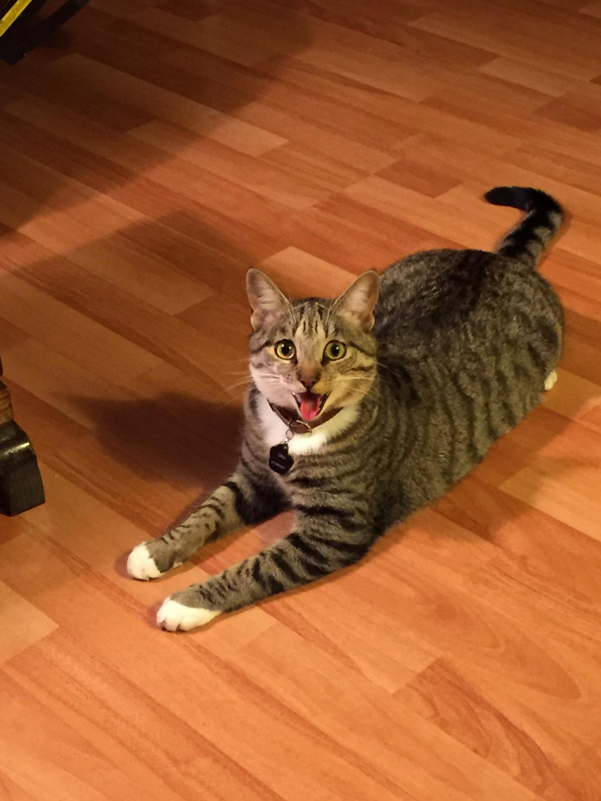 Otto Says Life Is Pretty All Right~