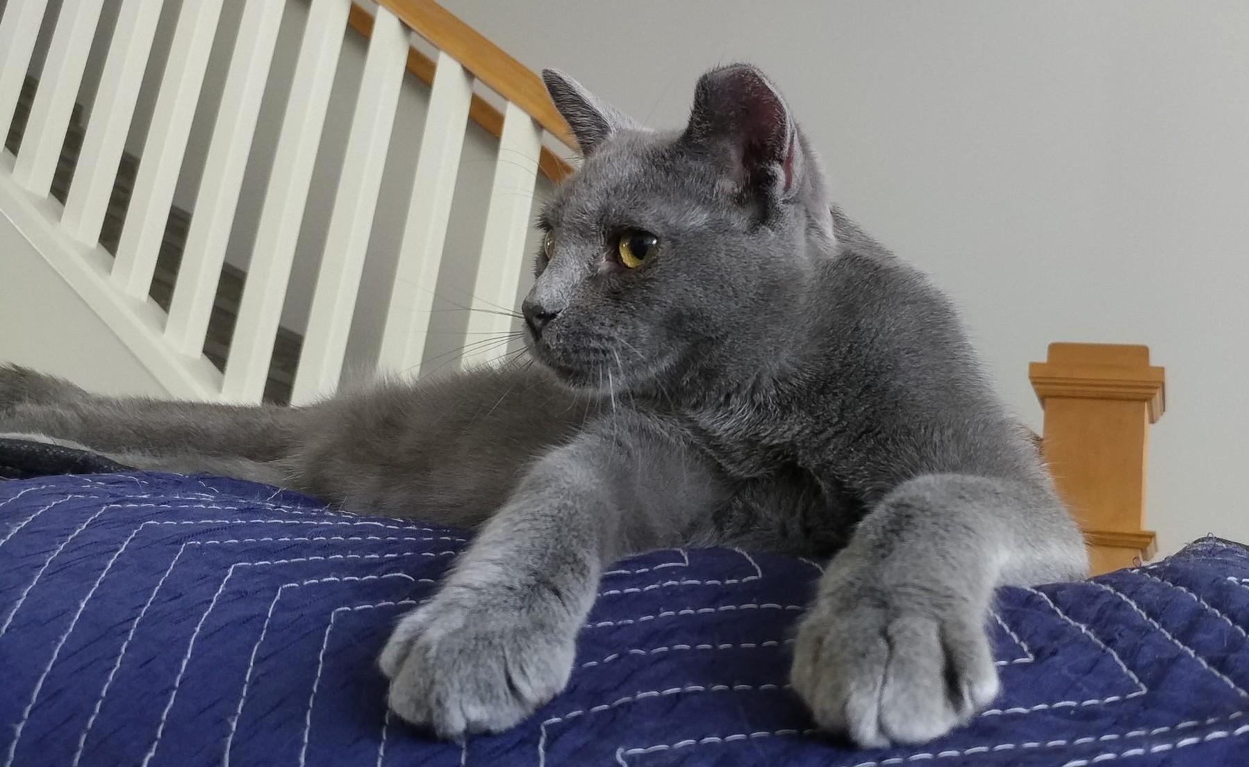 Our Fierce Sweet Beast - Nine Months