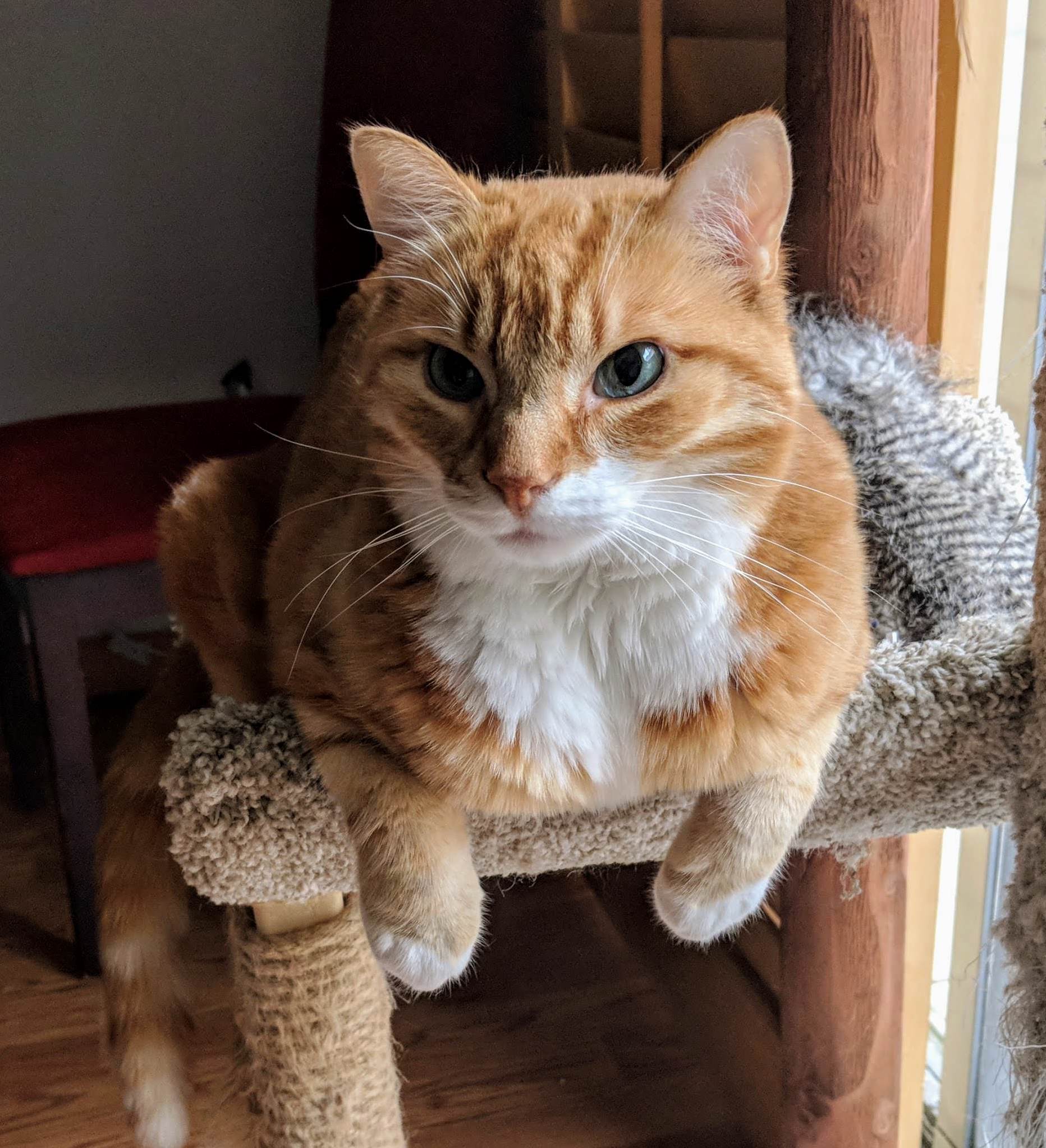 Our Handsome Boy.
