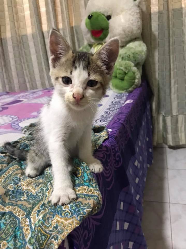 Our New Baby 3