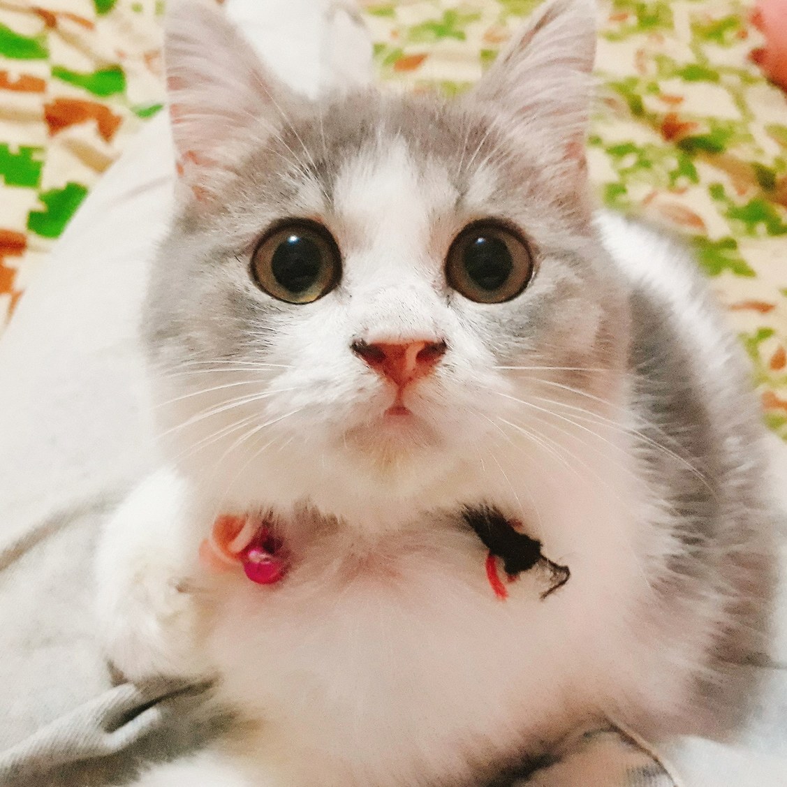 Peter Is Just Passing by to Say Hi!!!