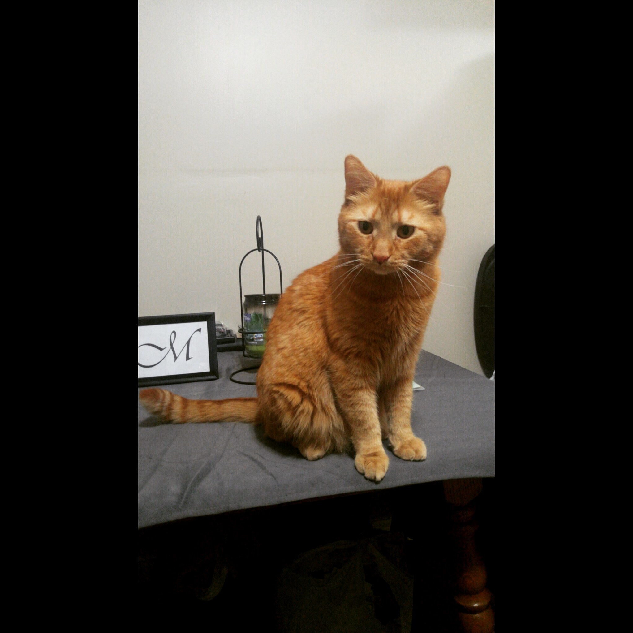 Reddit Meet Castiel aka Cass aka Kittycass