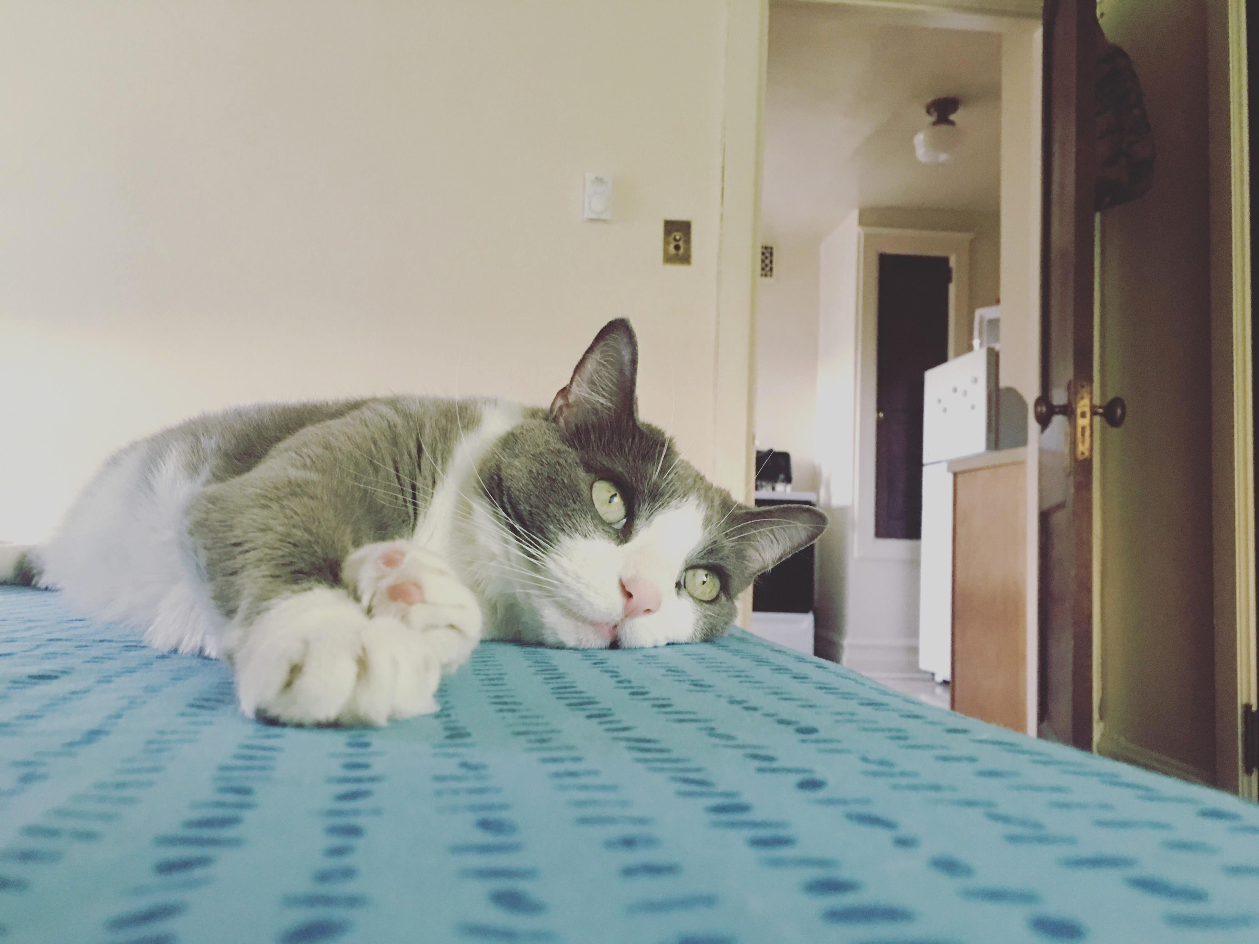Relaxing Ft. Toe Beans