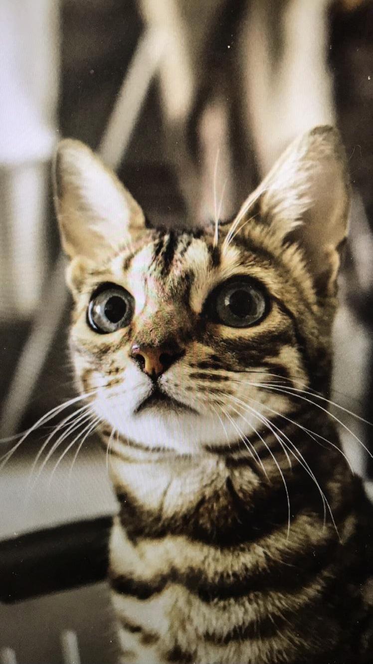 Rubys New Profile Pic . Would You Swipe Left or Right
