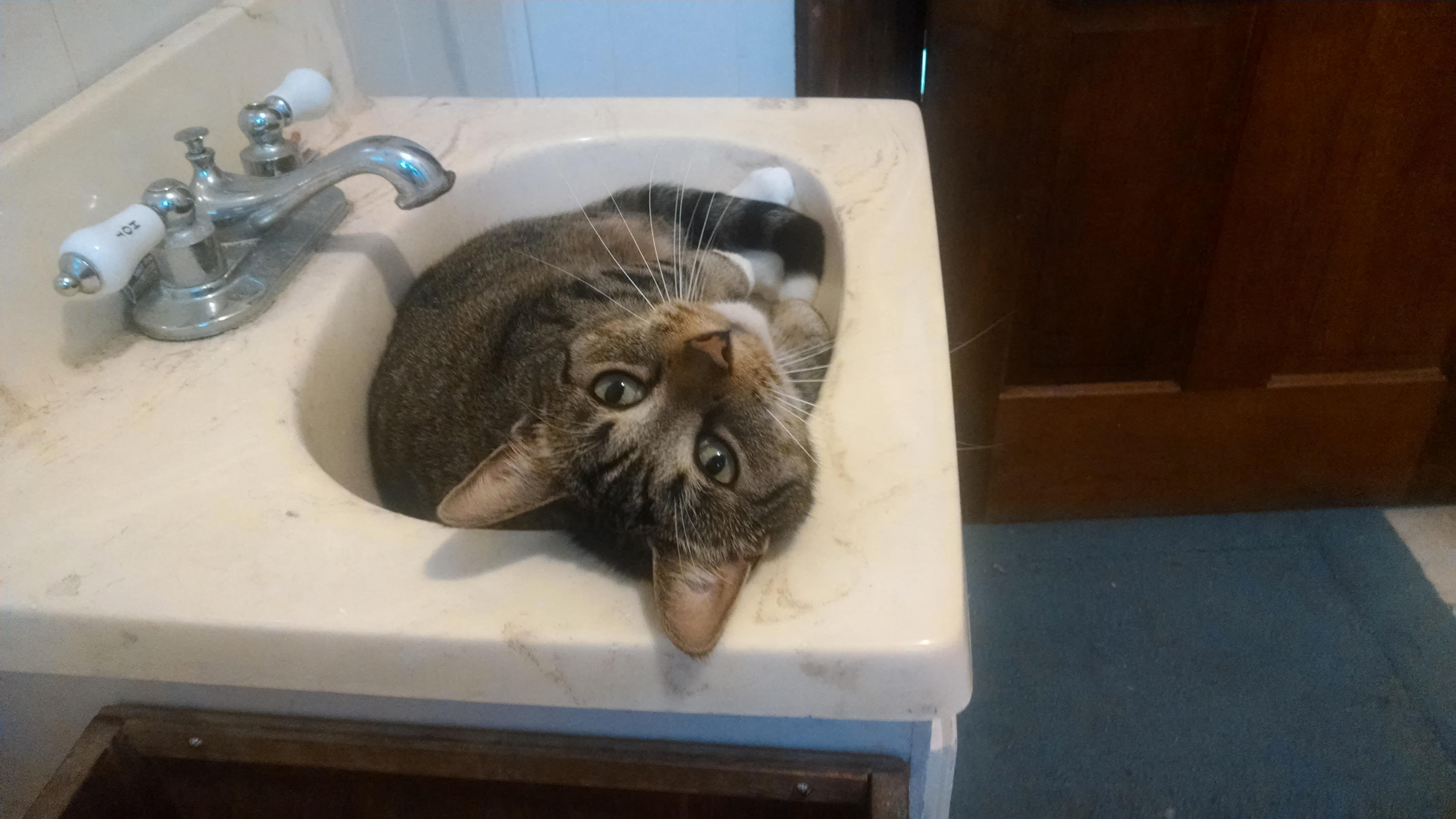 Saying Goodbye to This Boy Later Today and Wanted to Share My Favorite Picture of Him