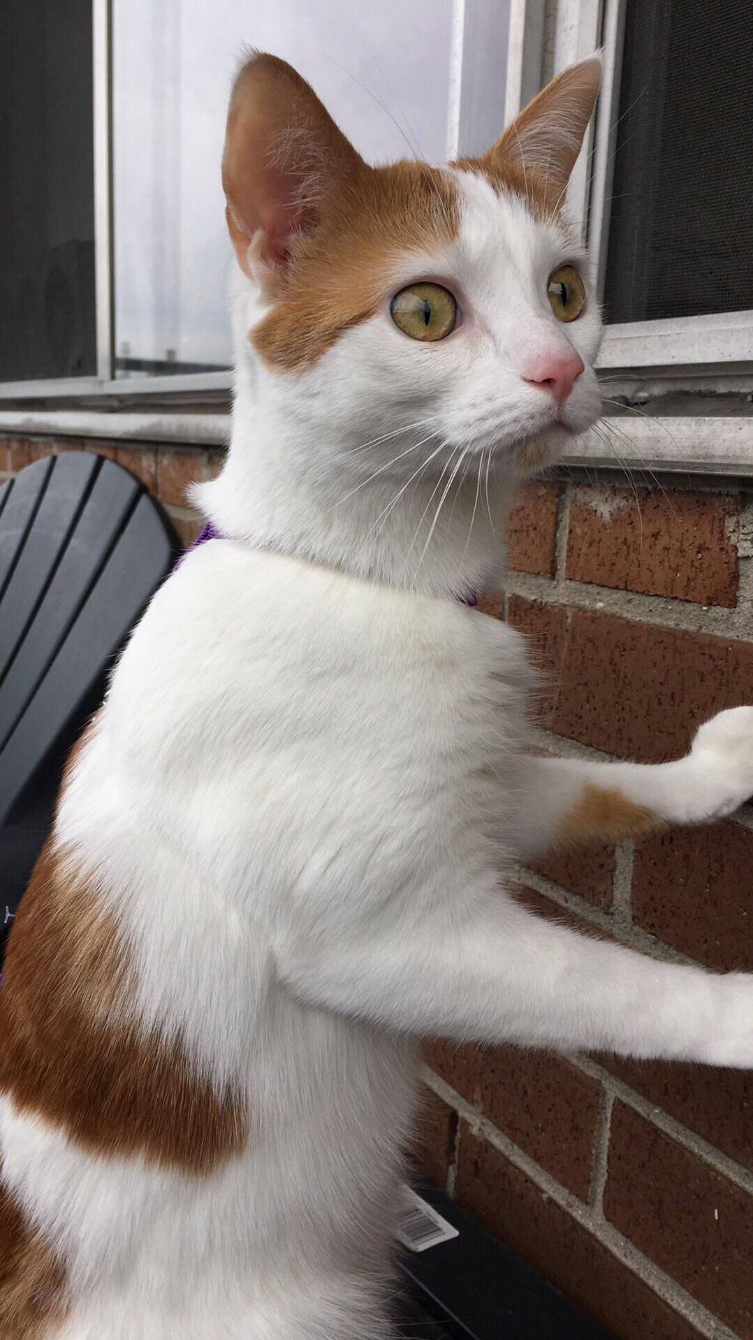 She Didnt Enjoy Her First Time Outside Too Much.