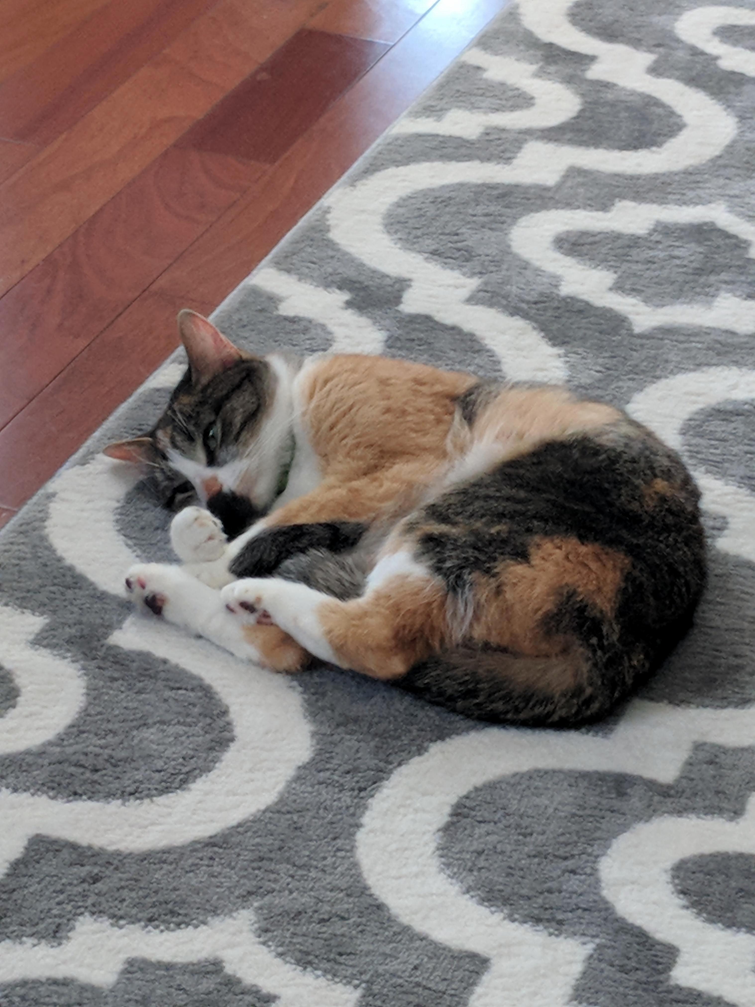 She Likes the Smell of Her Own Tail