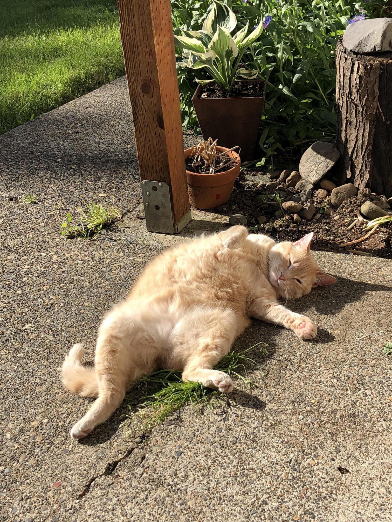 She Takes Nap Time Pretty Seriously