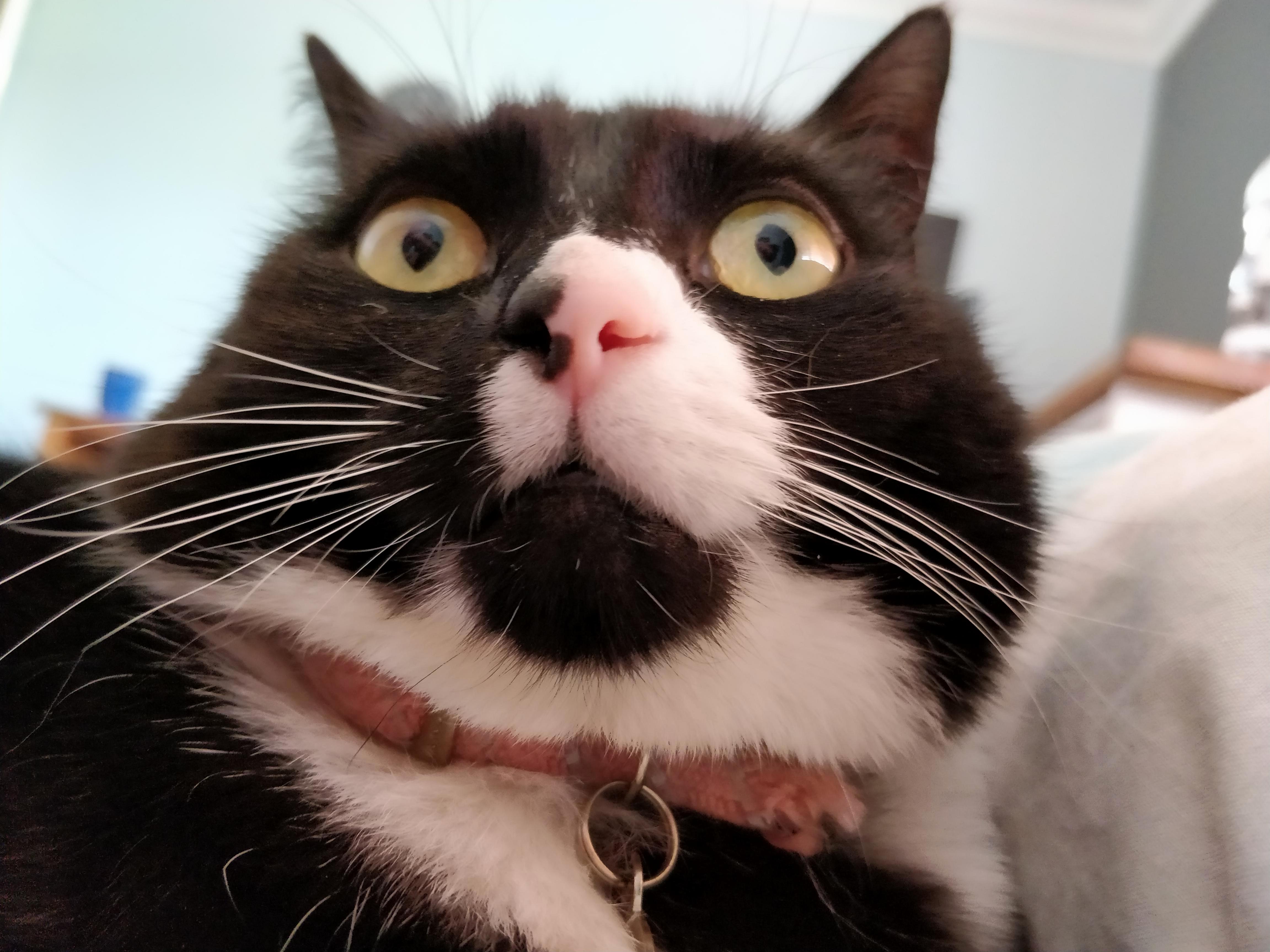 Shes Not Very Photogenic