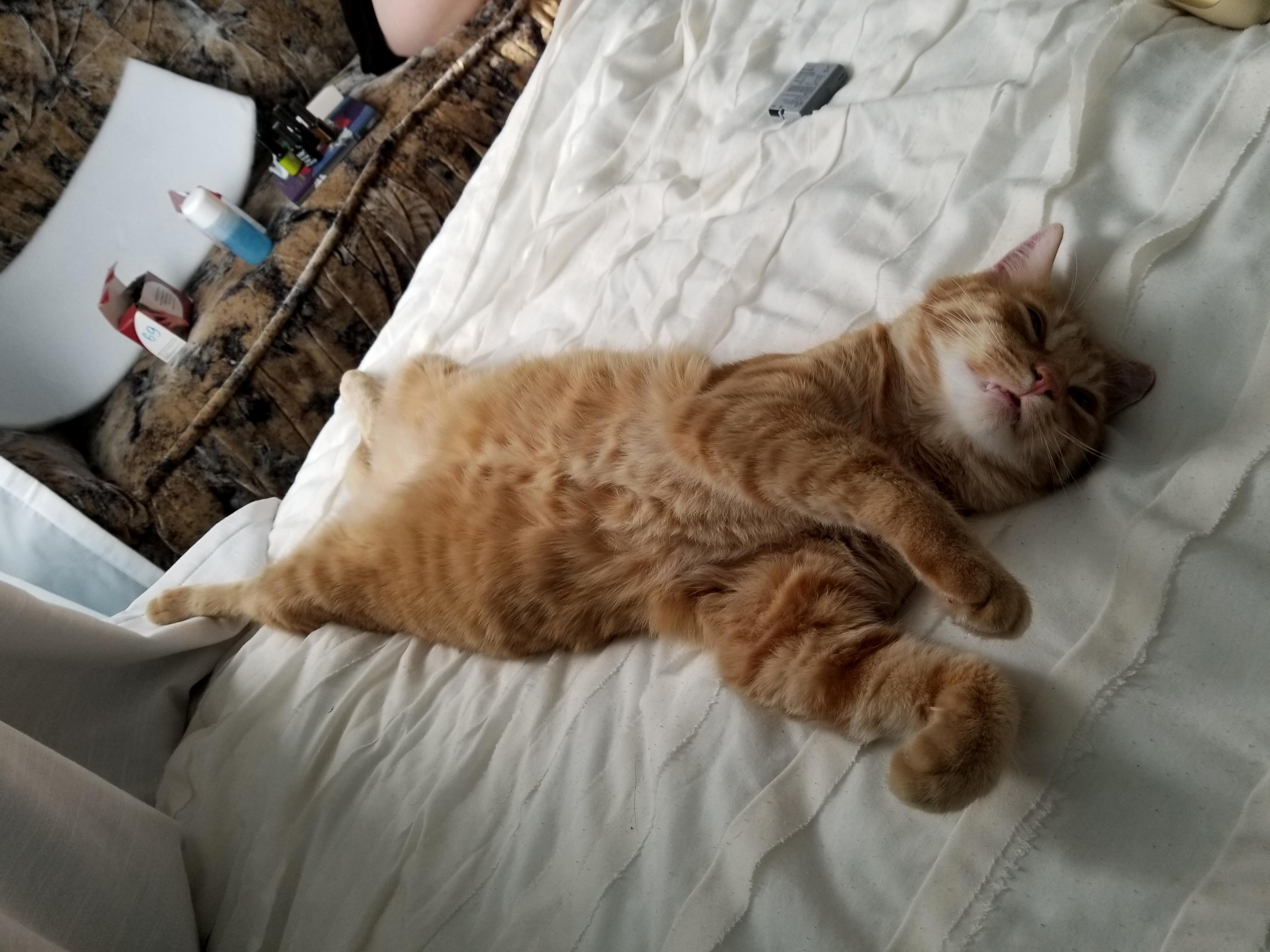 Shhh Do Not Disturb