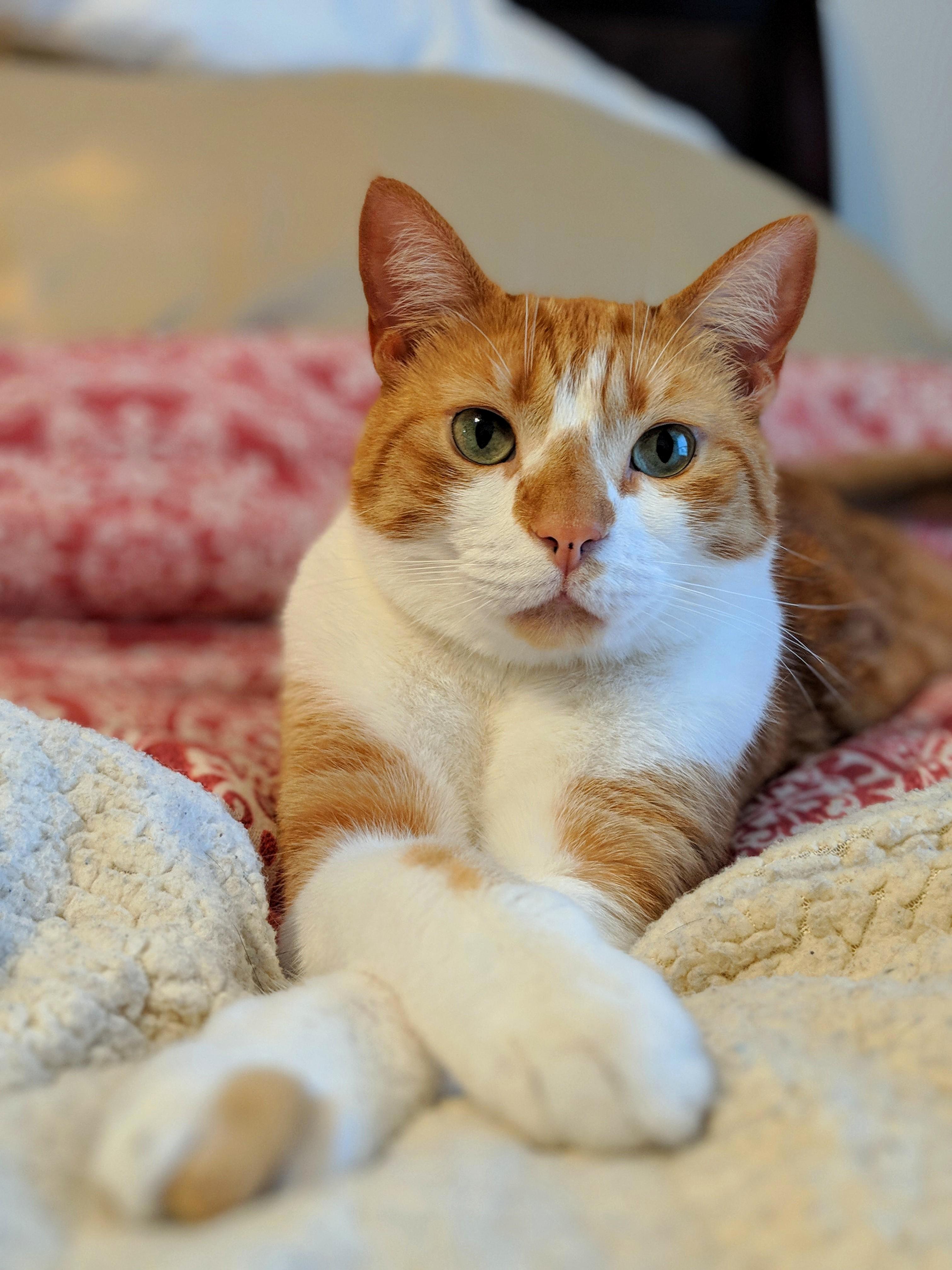 Sittin So Pretty