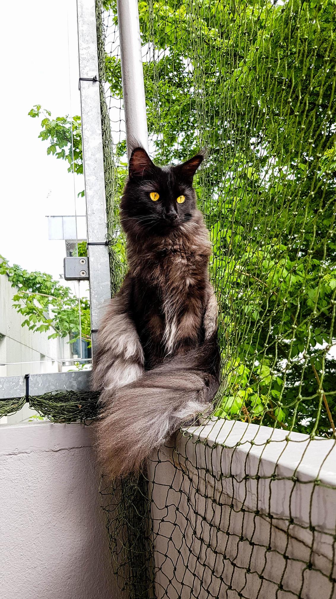 Sitting at His Favorite Place
