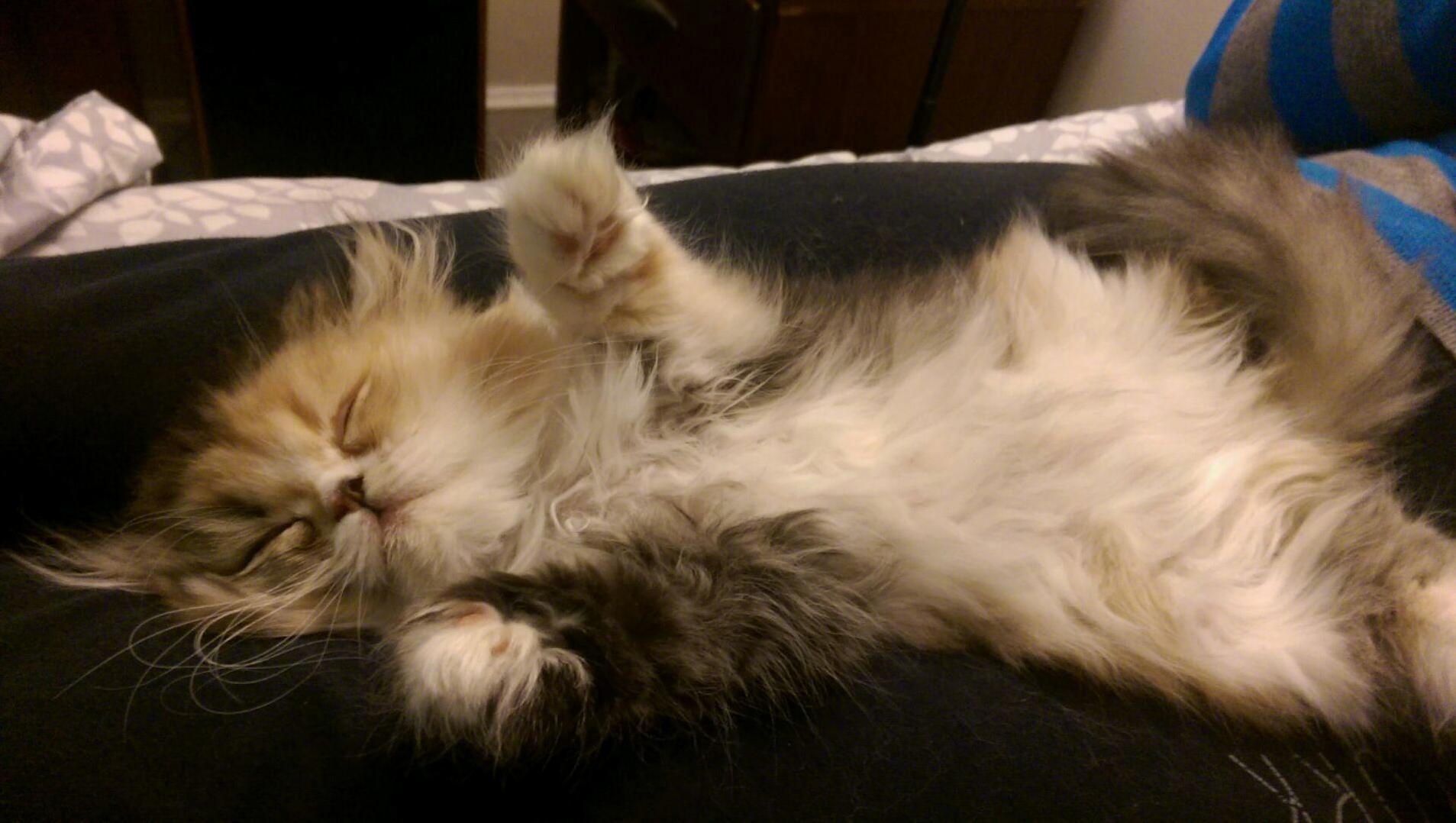 Sleepy Bubbles...