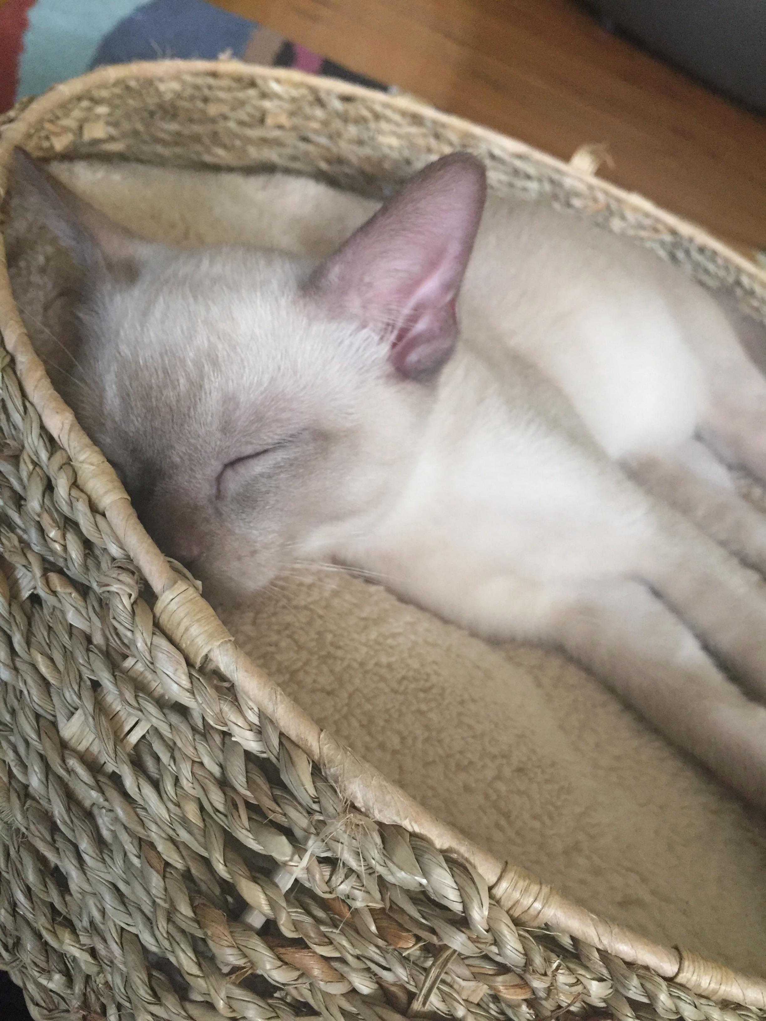 Slumped