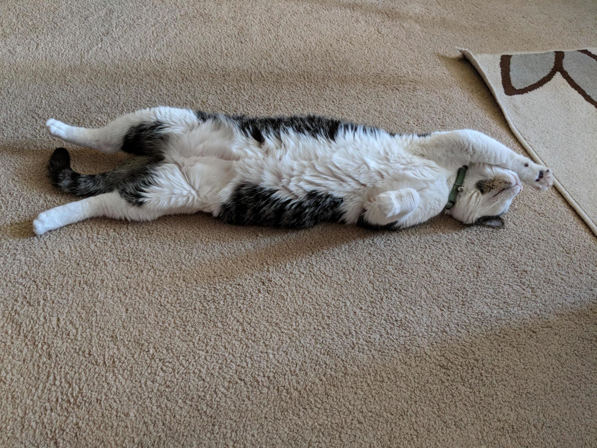 So Comfortable.
