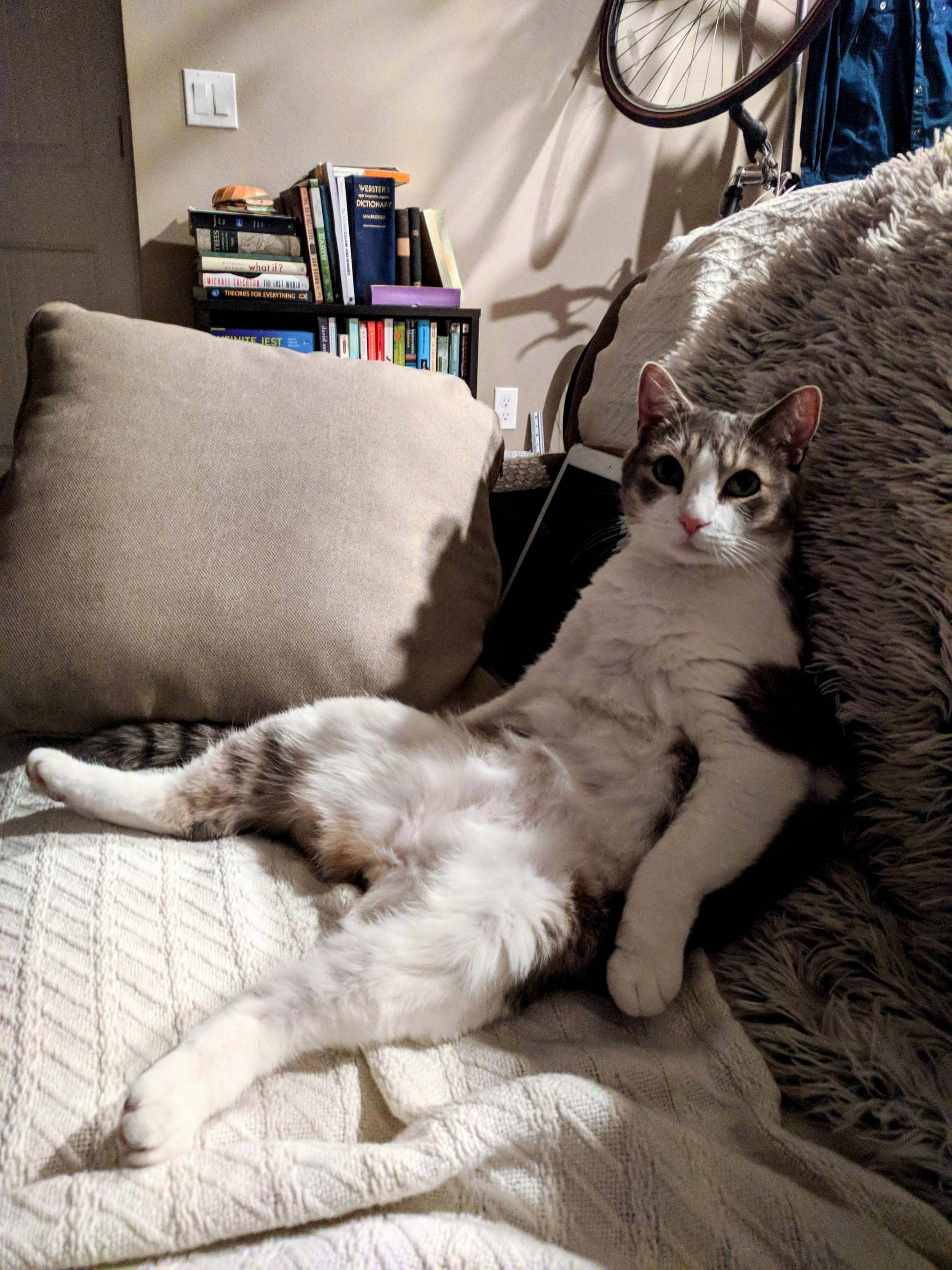 Steven Thinks He Is Human.