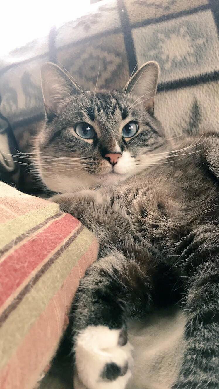 Such Pose. So Floof. Bean Toes.