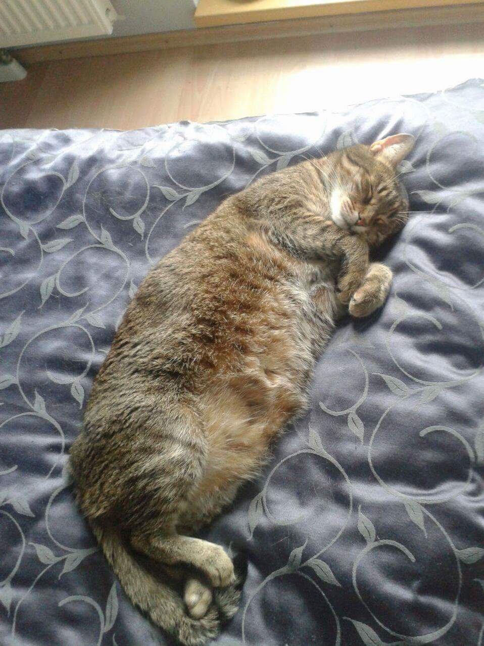 That Old Fart Can Still Melt My Heart