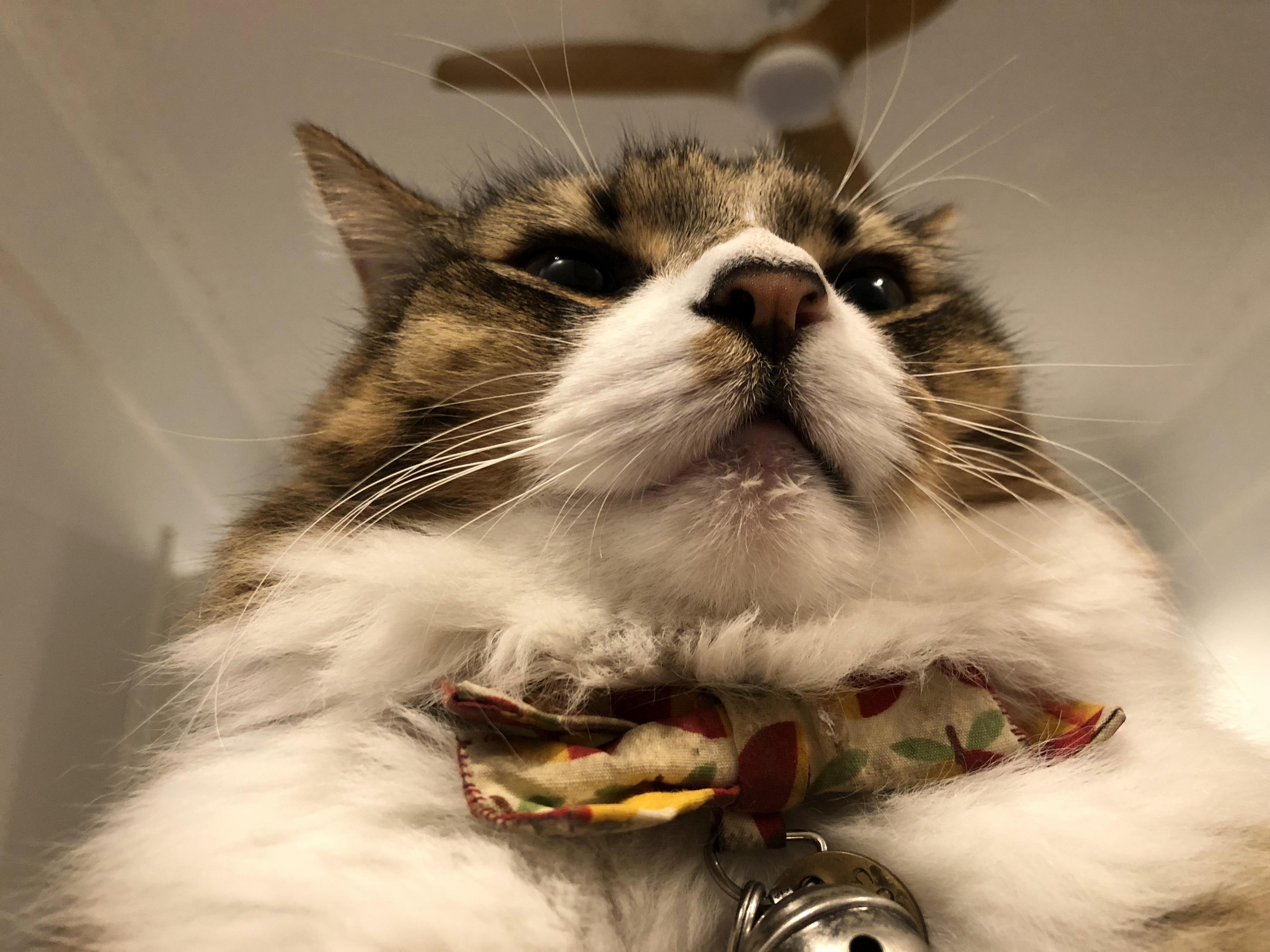 The Face I Wake Up to Every Morning