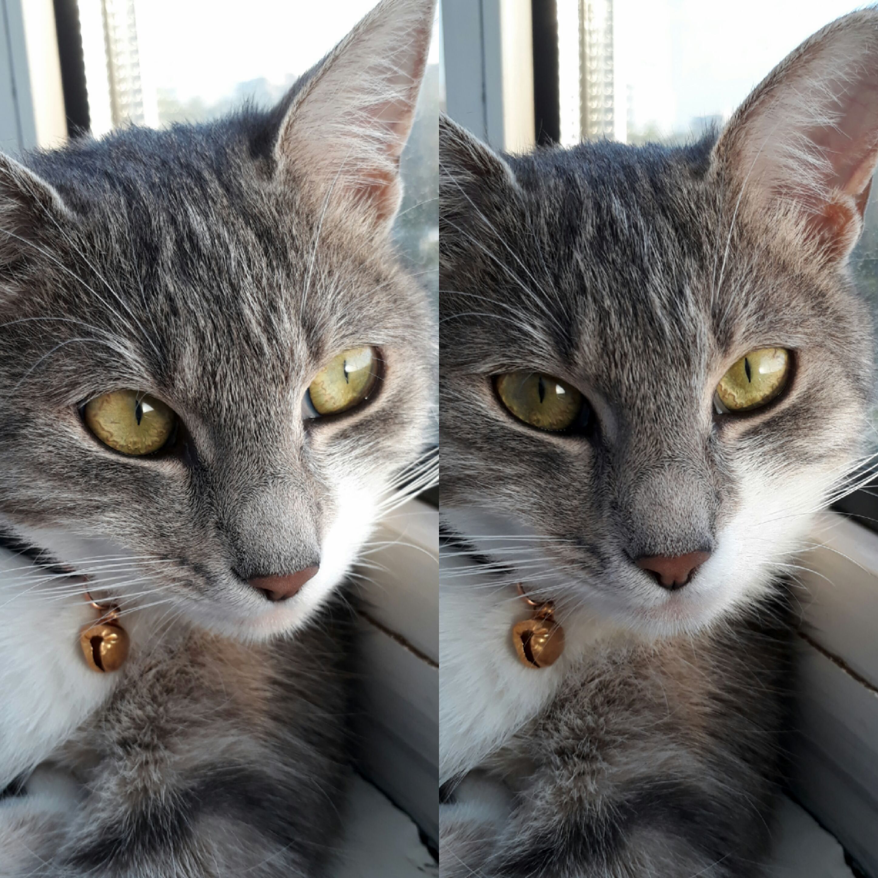 The Moment She Realized I Was Taking Photos of Her!