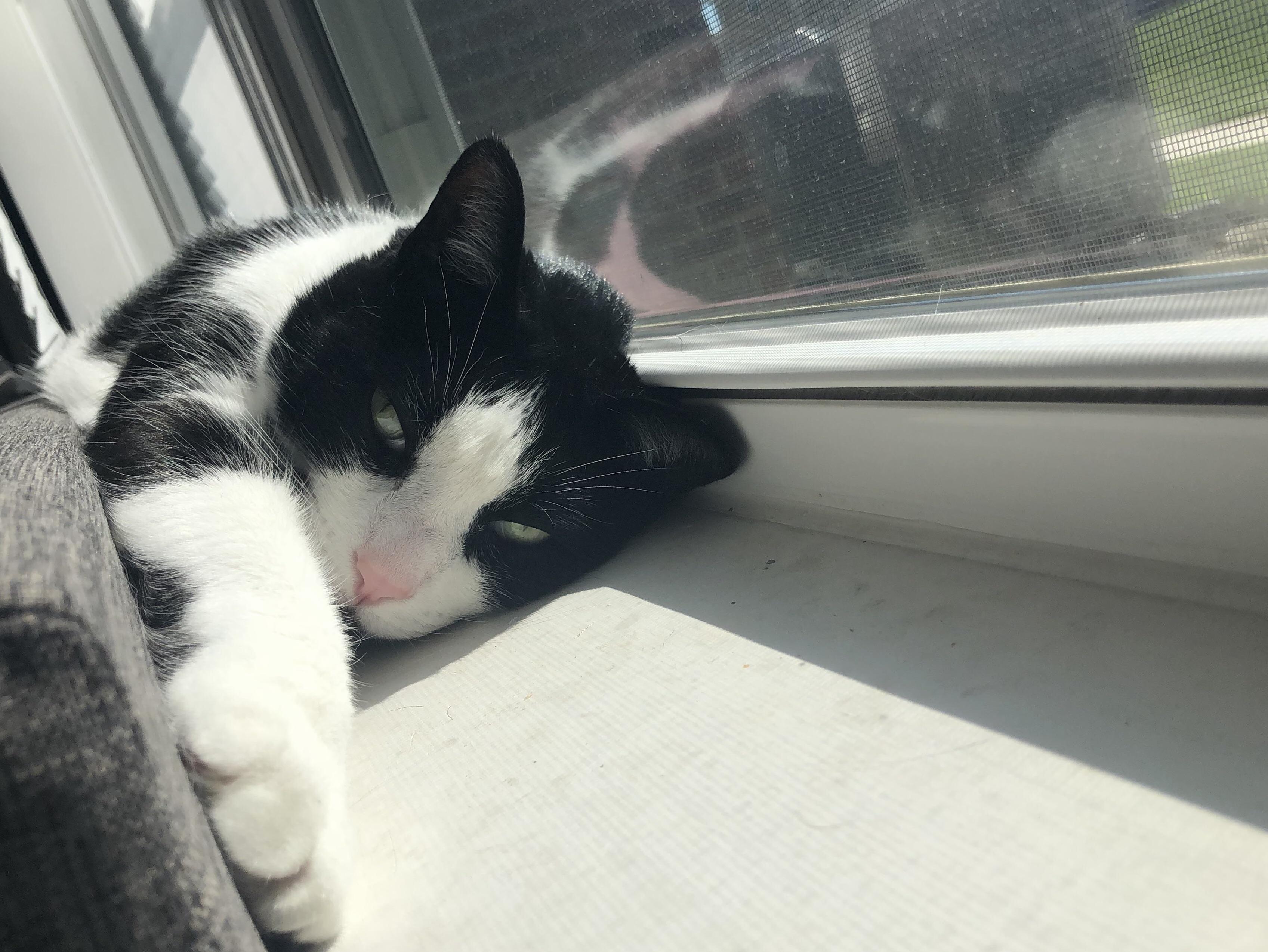 The Sun Is Finally Out