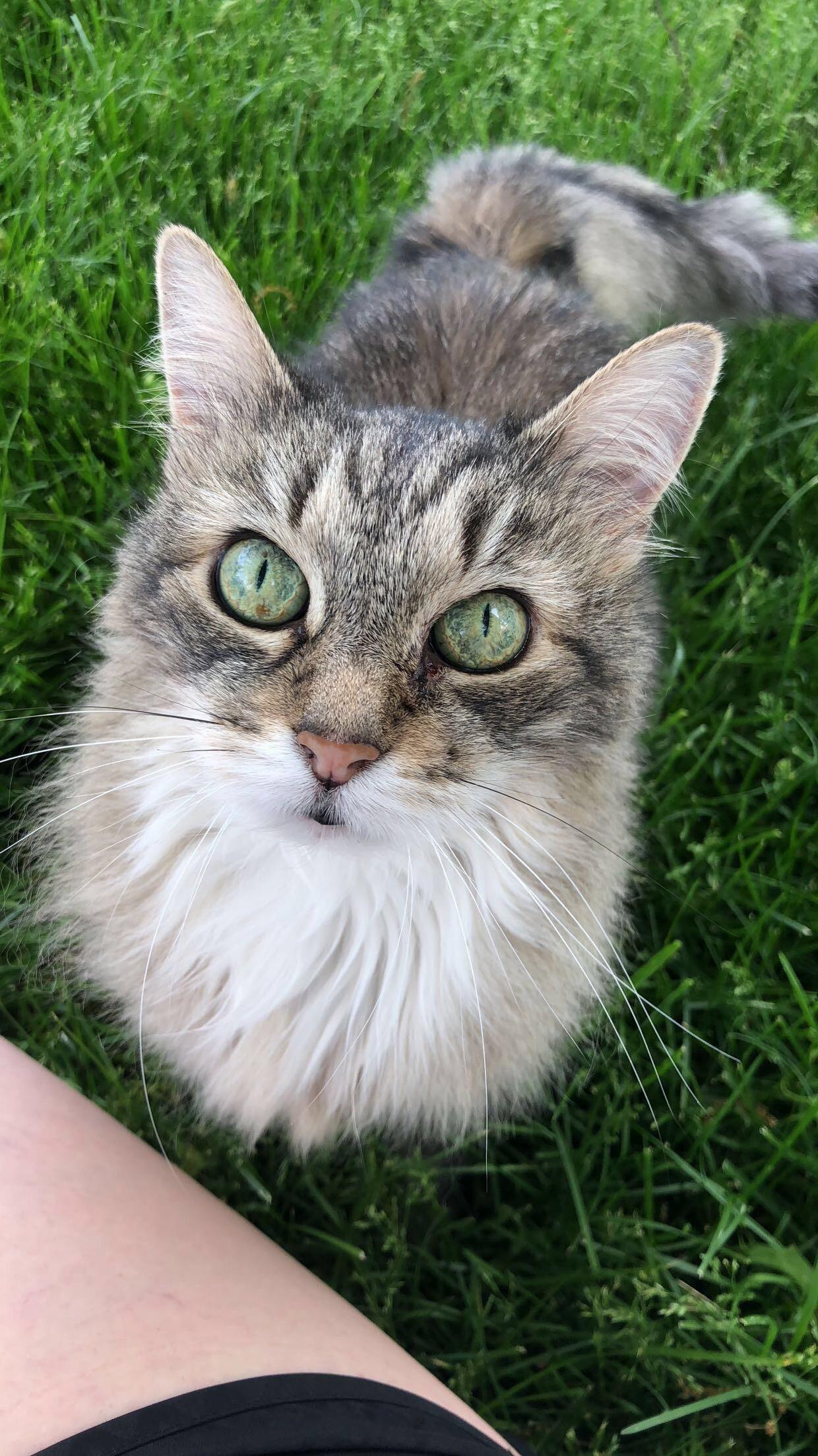 This Afternoon We Sat Under a Tree, Happy 17th Birthday Kiki!