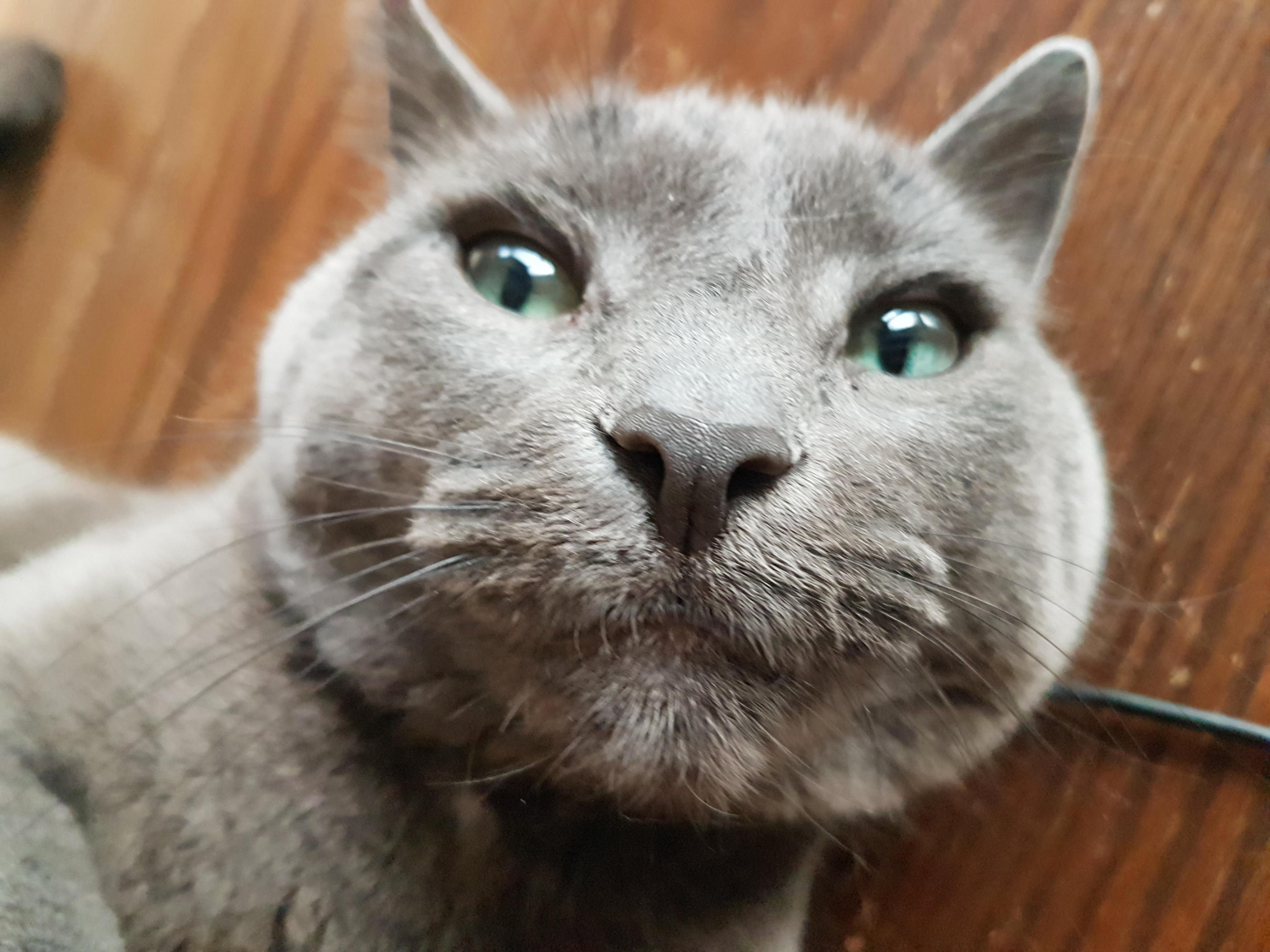 This Guy.