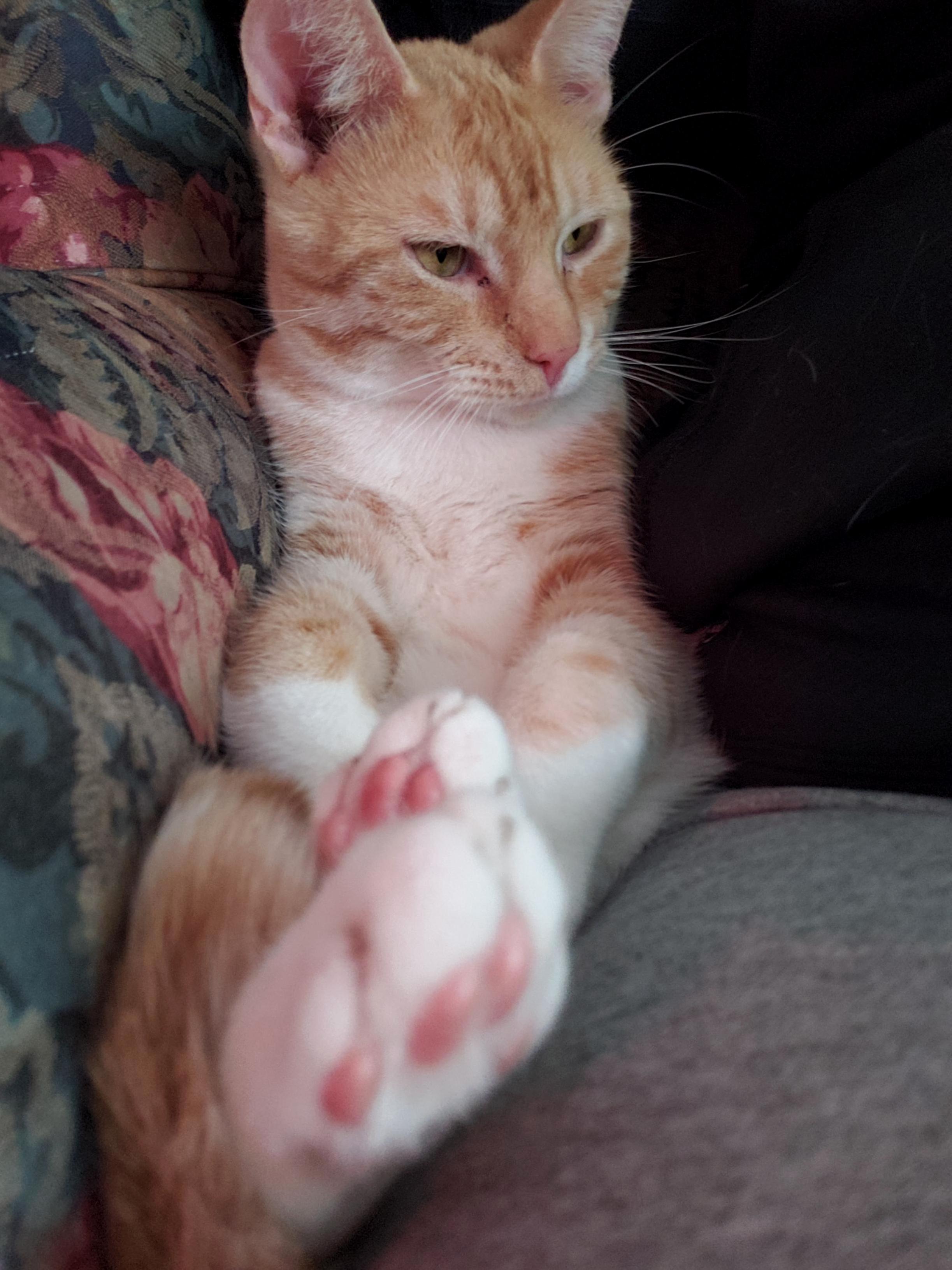 This Is How He Decides to Sit Next to Me