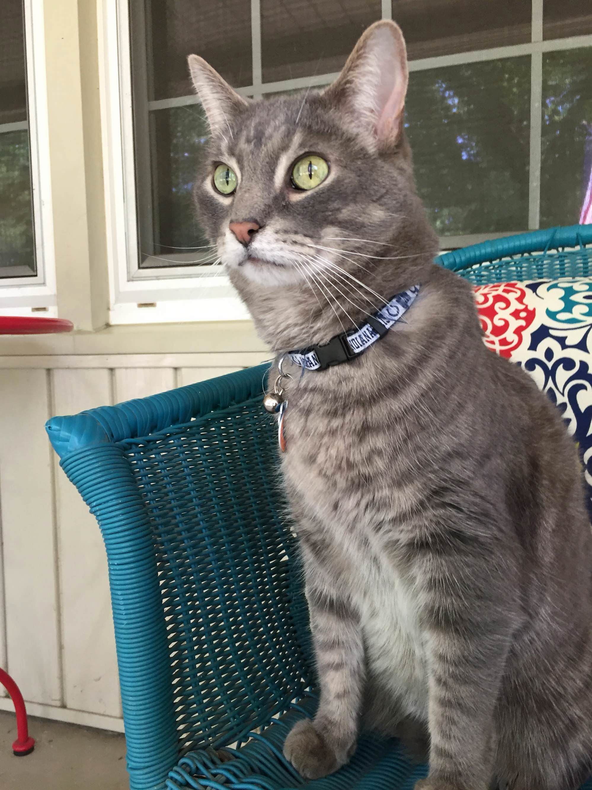 This Is One of His Usual Expressions.