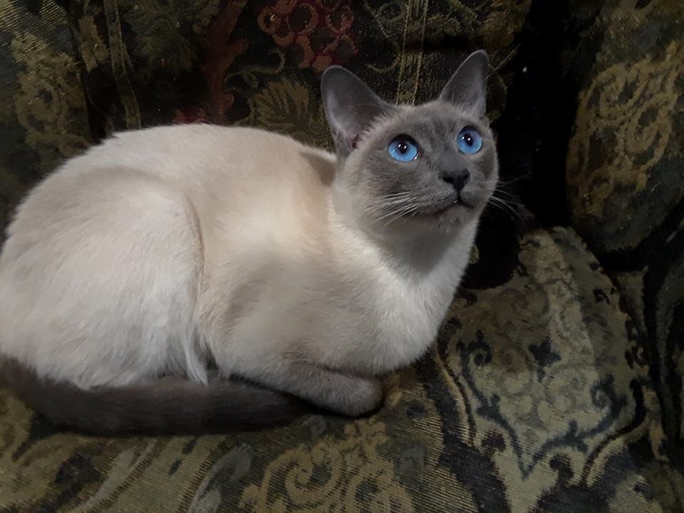Today Is Our Baby Tatsus 1st Birthday.