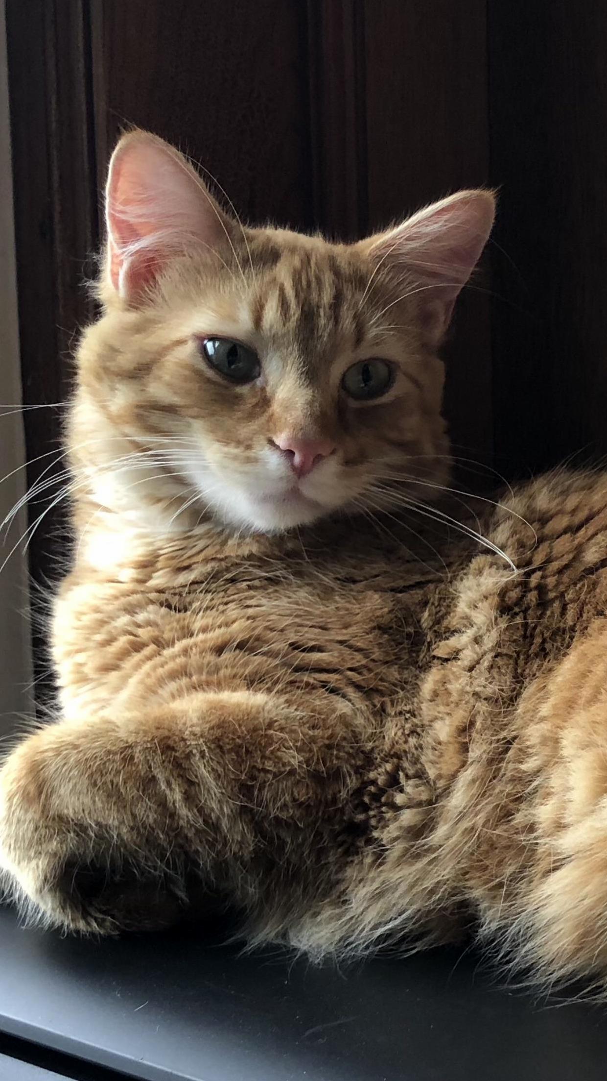 Tormund Reflects on Life