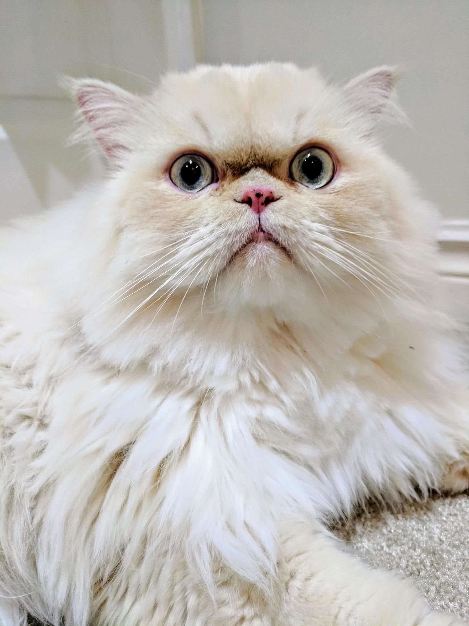 Tubby