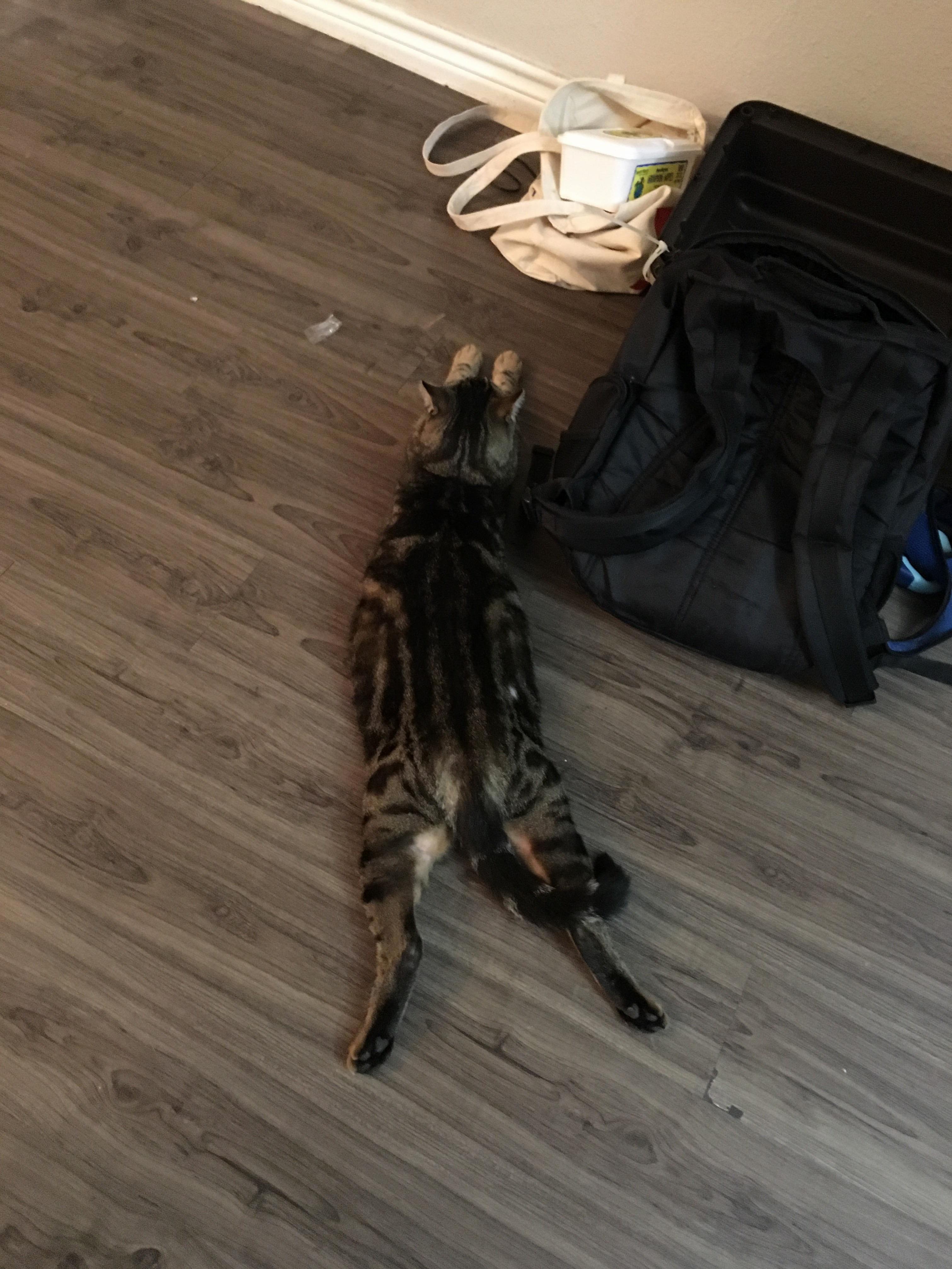 Wednesdays Are Tough for All of Us.
