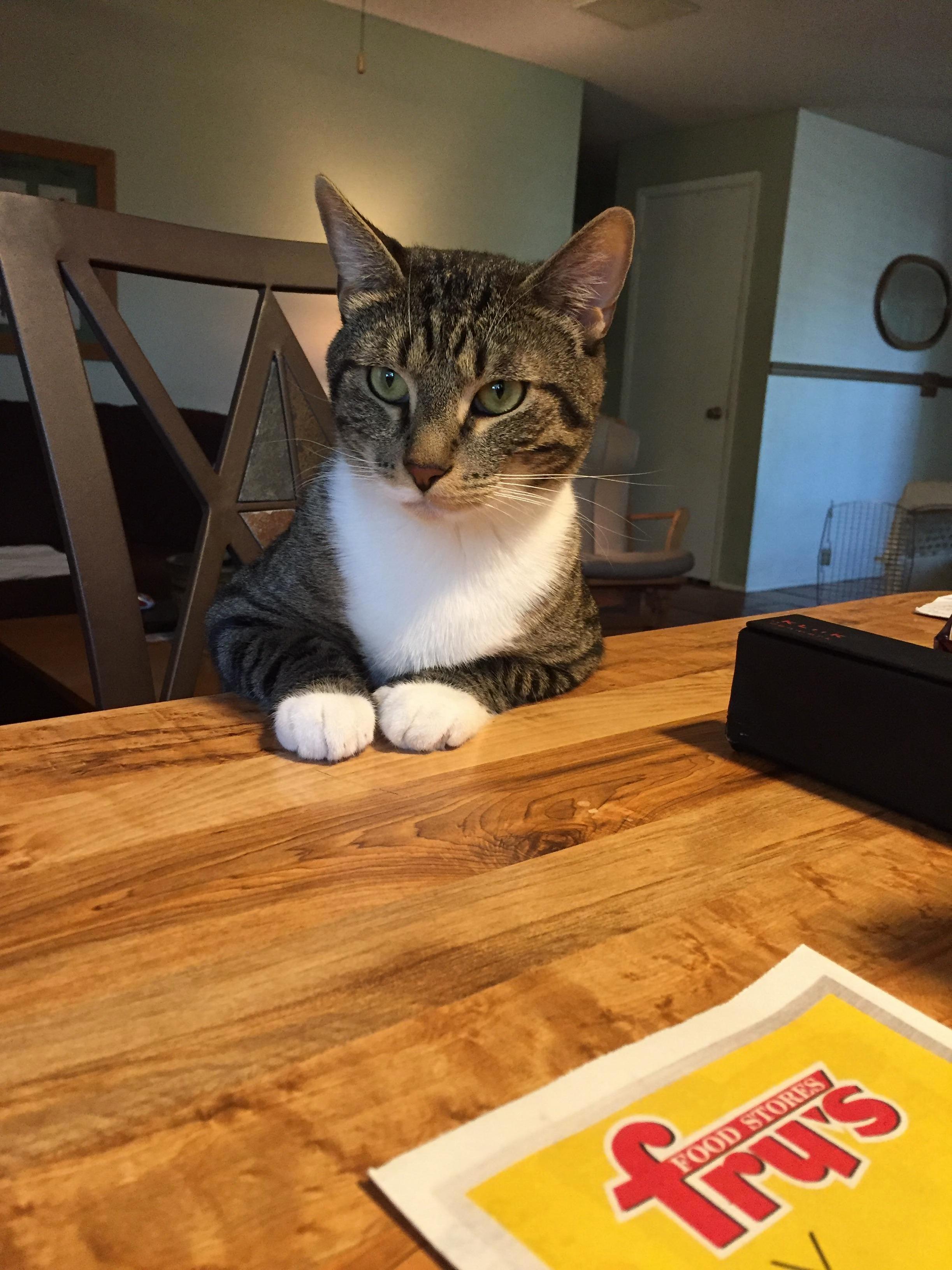 What Can I Get You, Sir