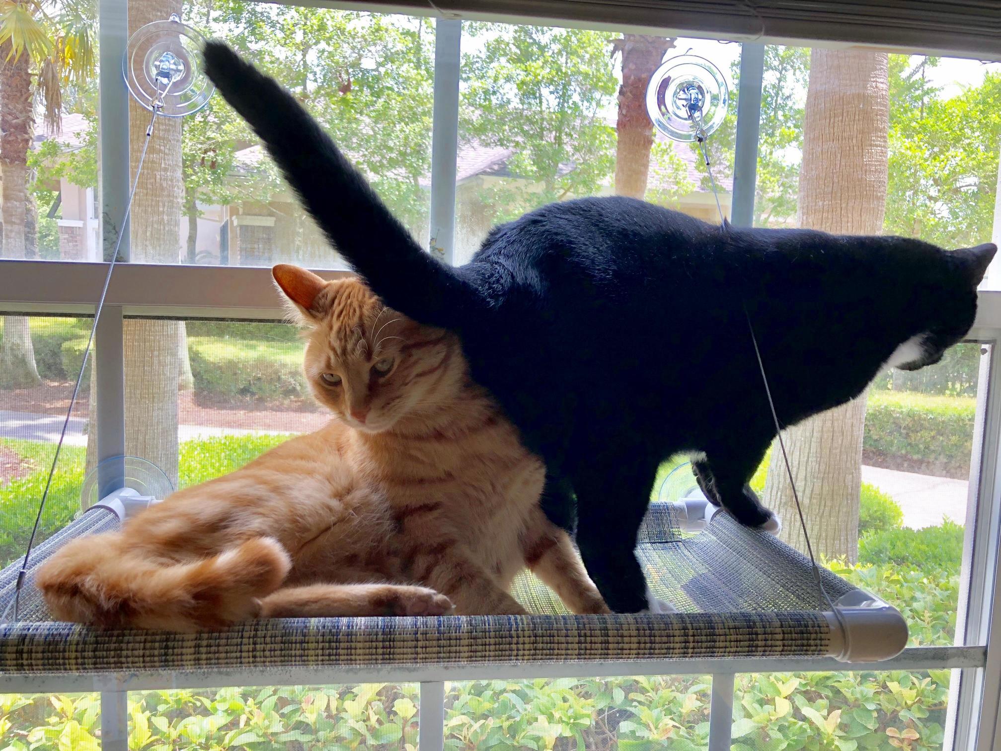 When Monday Wakes You Up with a Butt to the Face