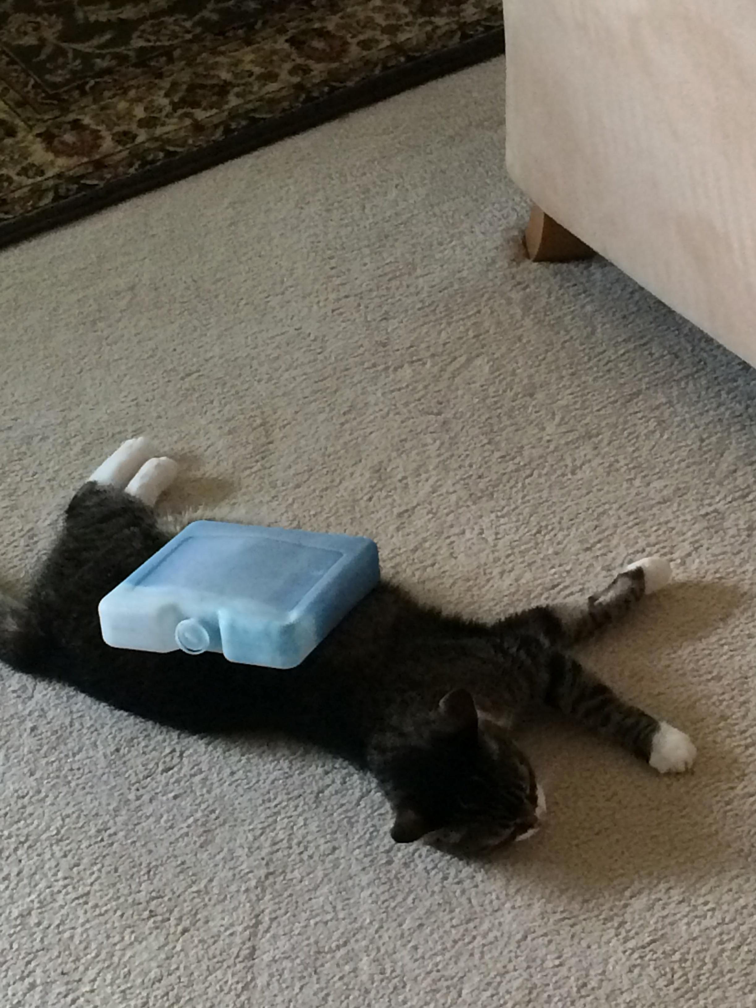 When the Ac Breaks on a Hot Day