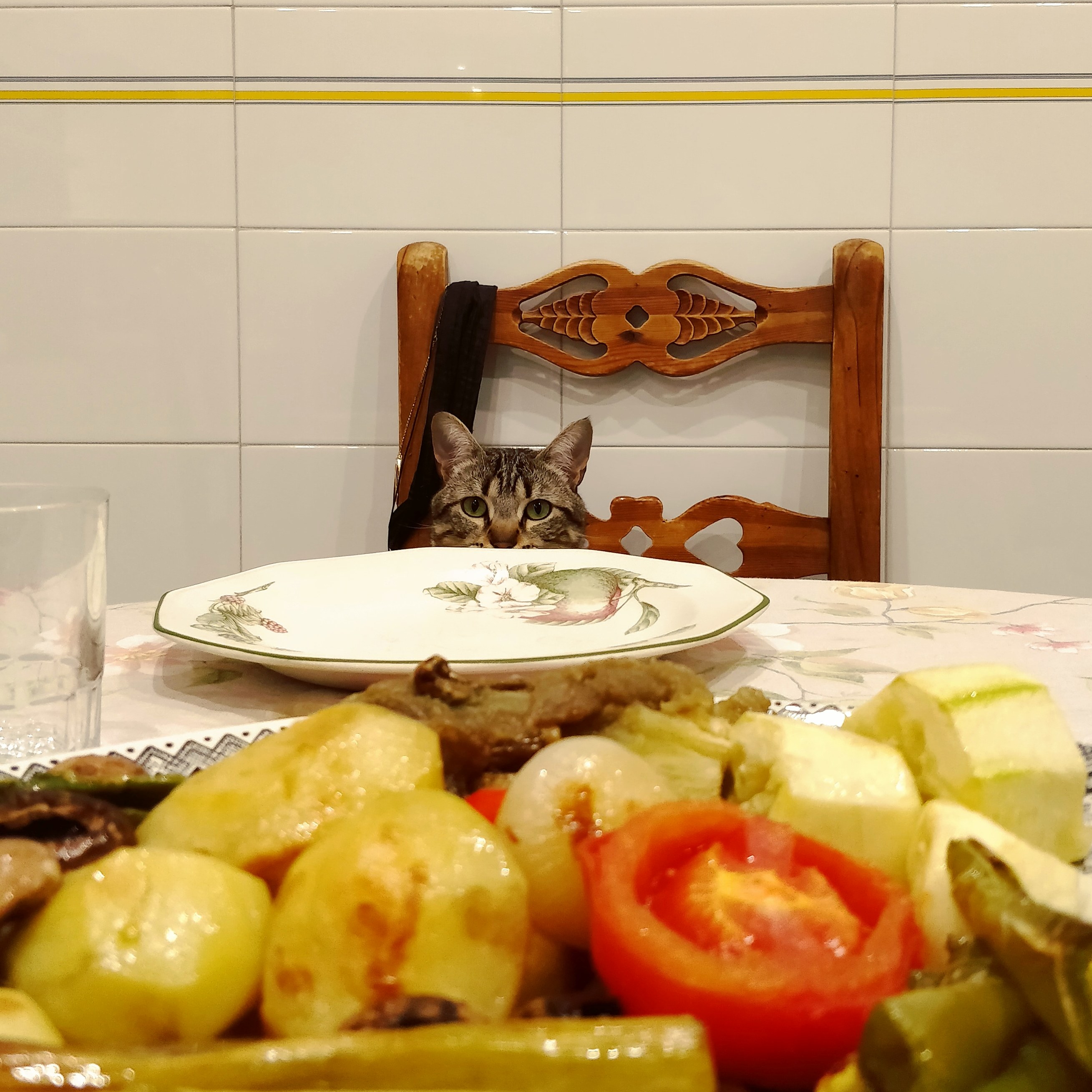 Where Is My Tuna, Human
