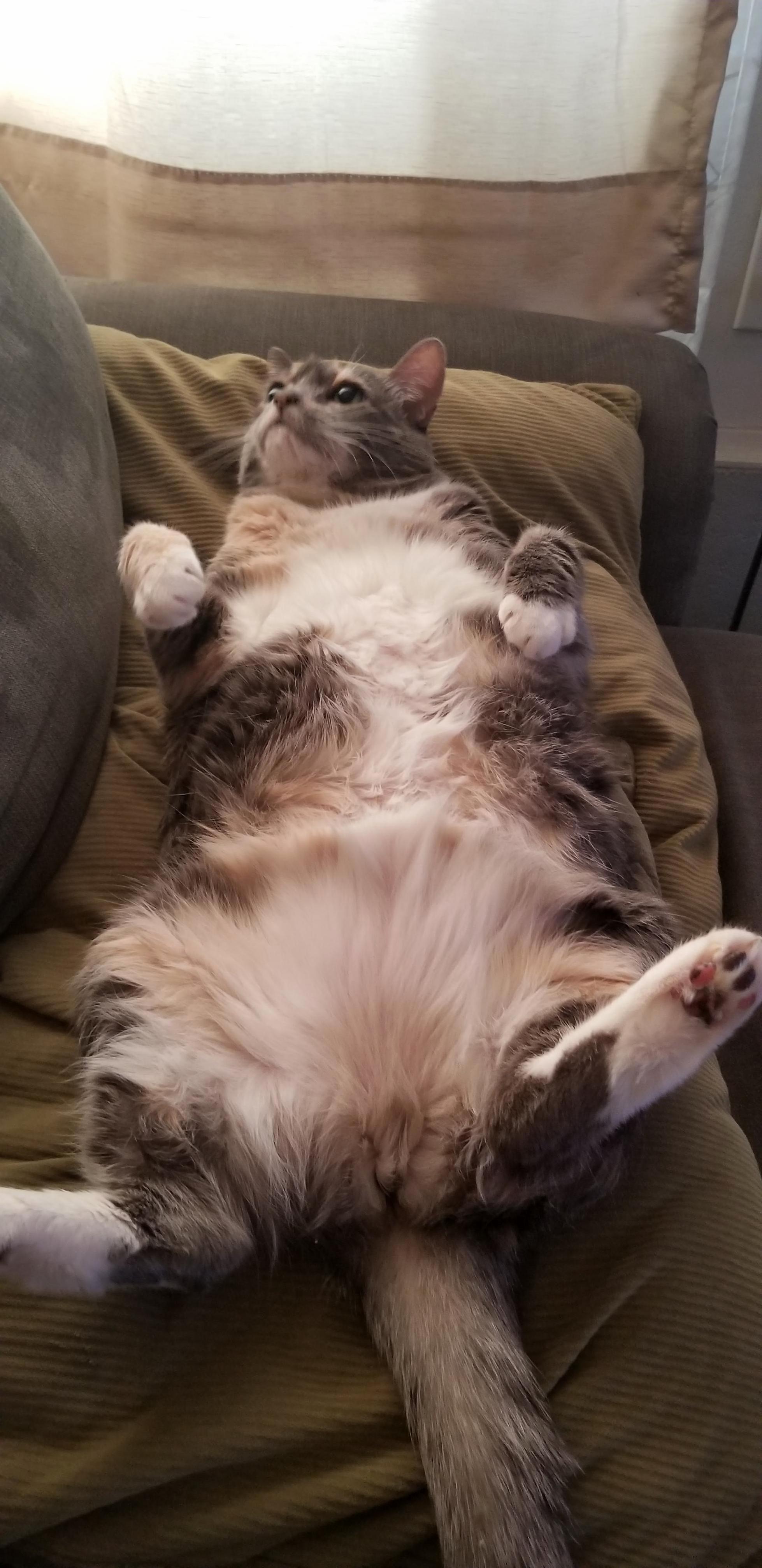 14 Yr Old Tub of Love