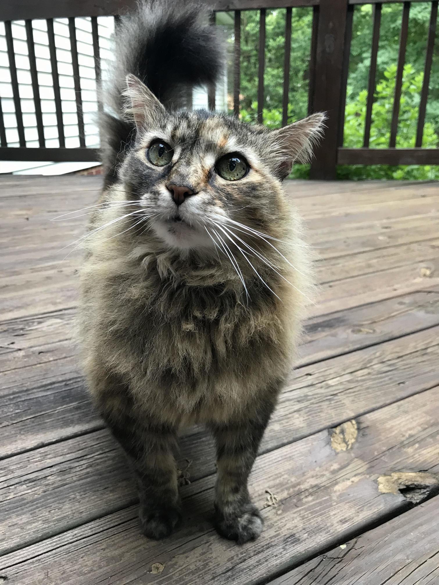 15 Years Old and Still Refuses to Pose for a Picture!!!