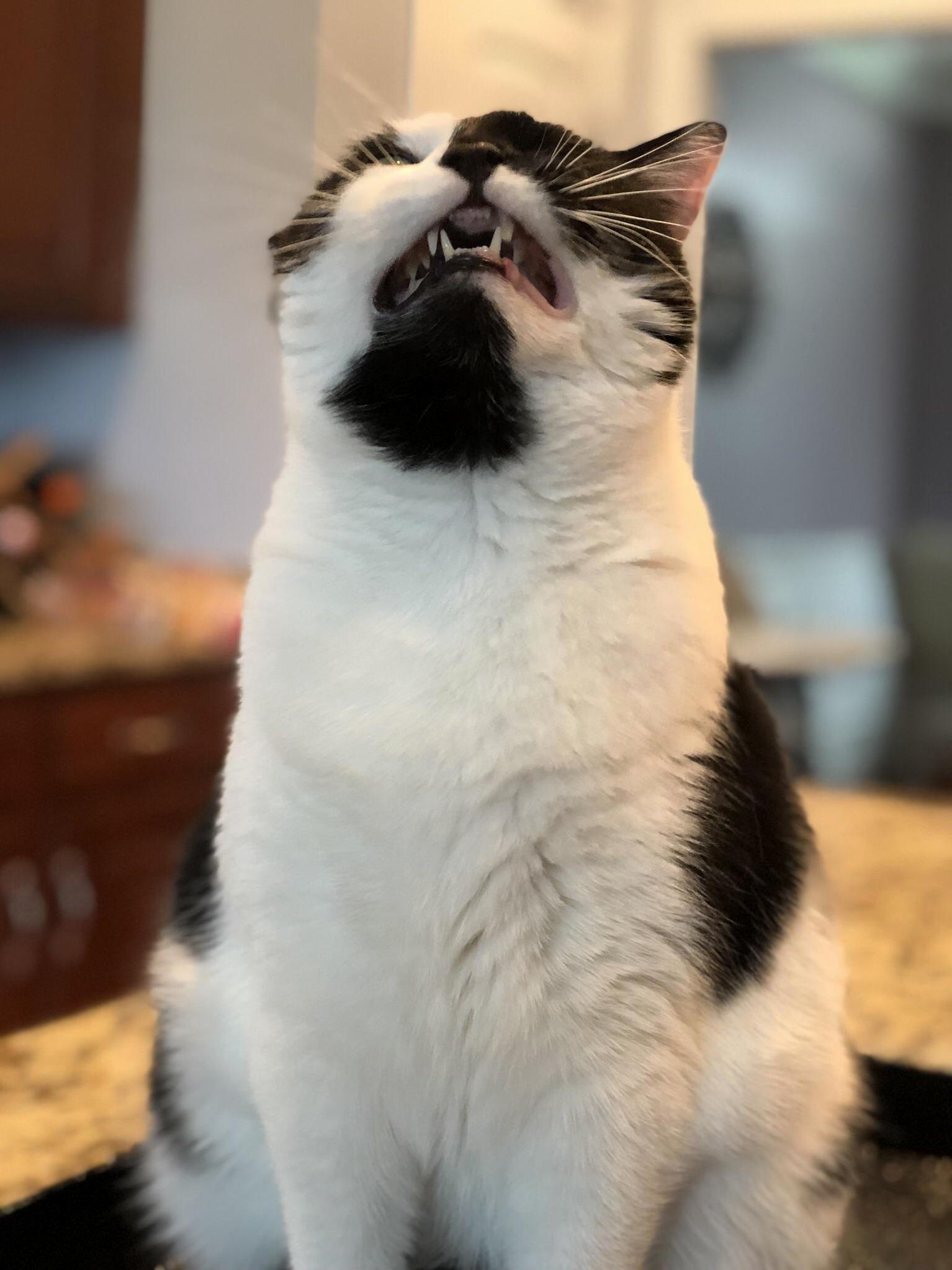 Achooooooooo