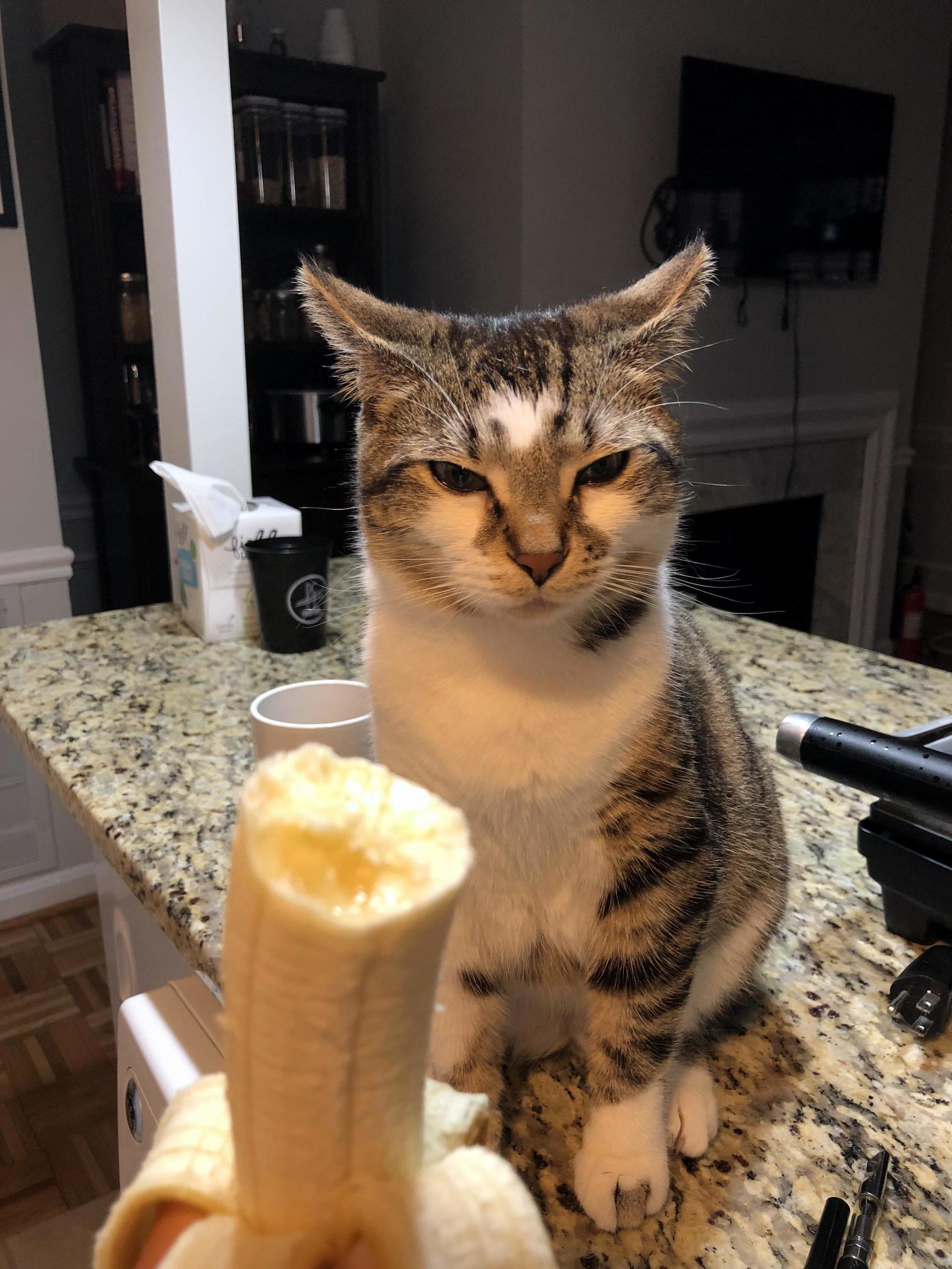 Amelia Does Not Like Bananas. Can You Tell