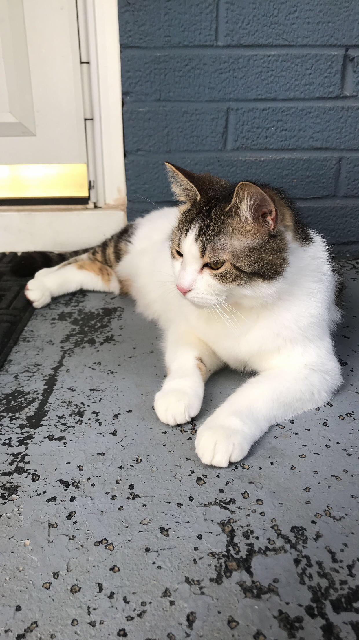 Ariel, Enjoying the Outdoors.