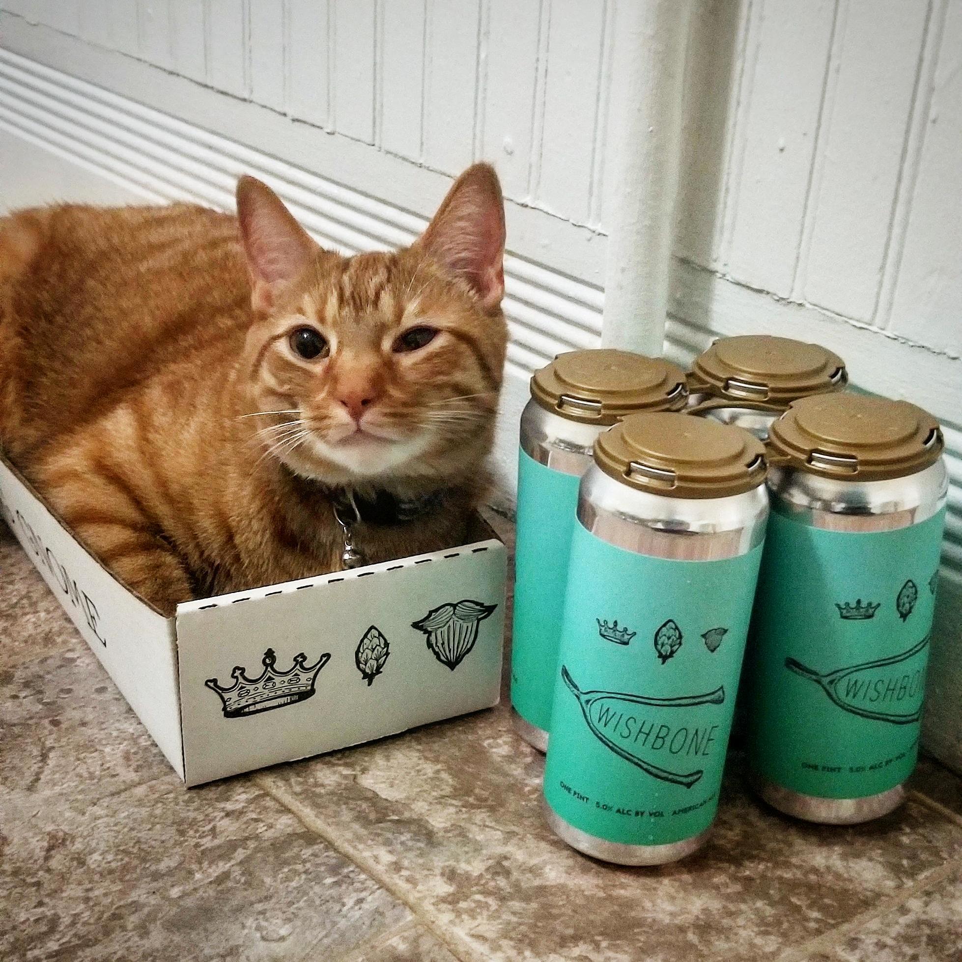 Carl Was As Excited for the Box As I Was for the Beer.