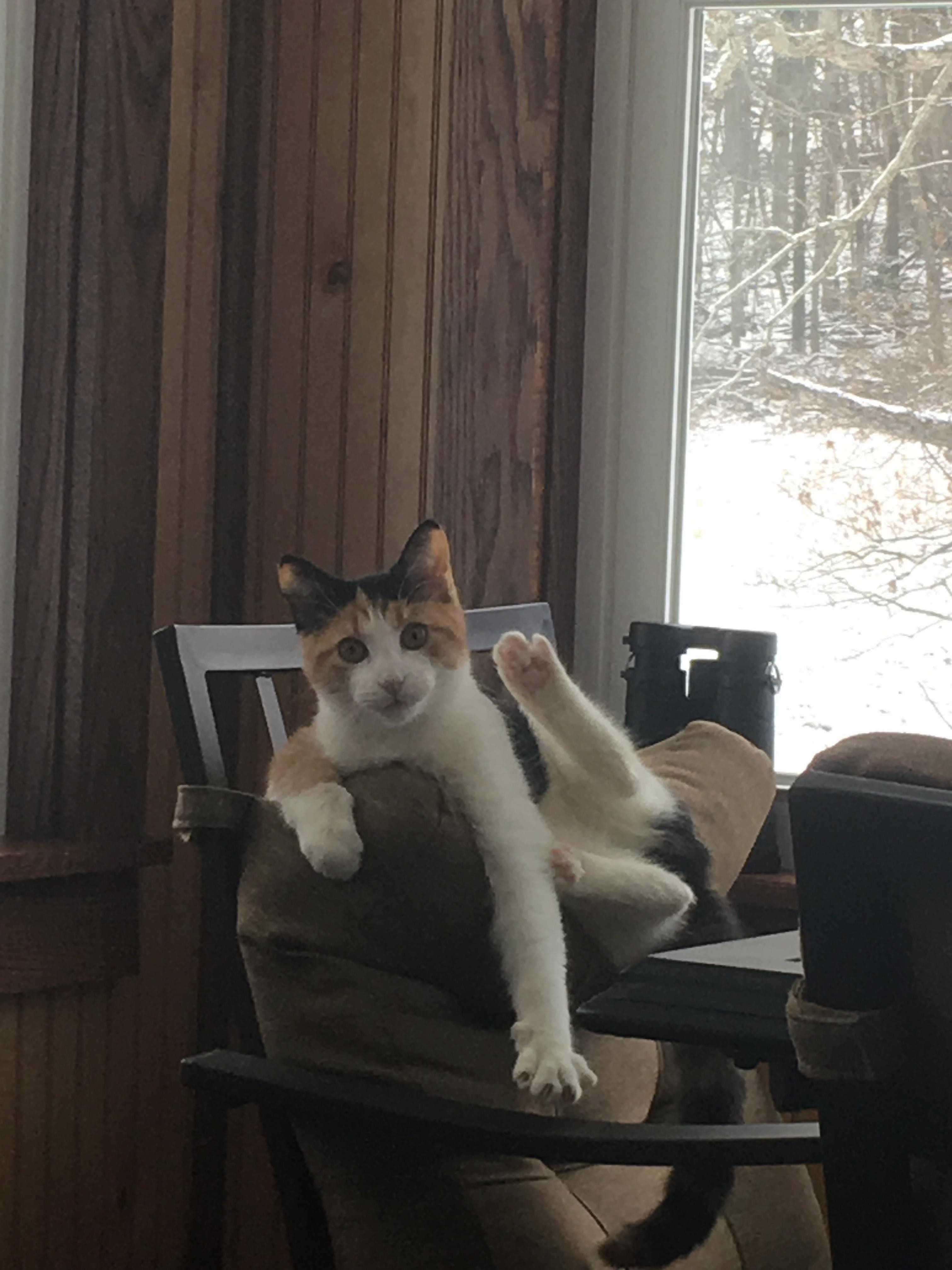 Caught in the Act.