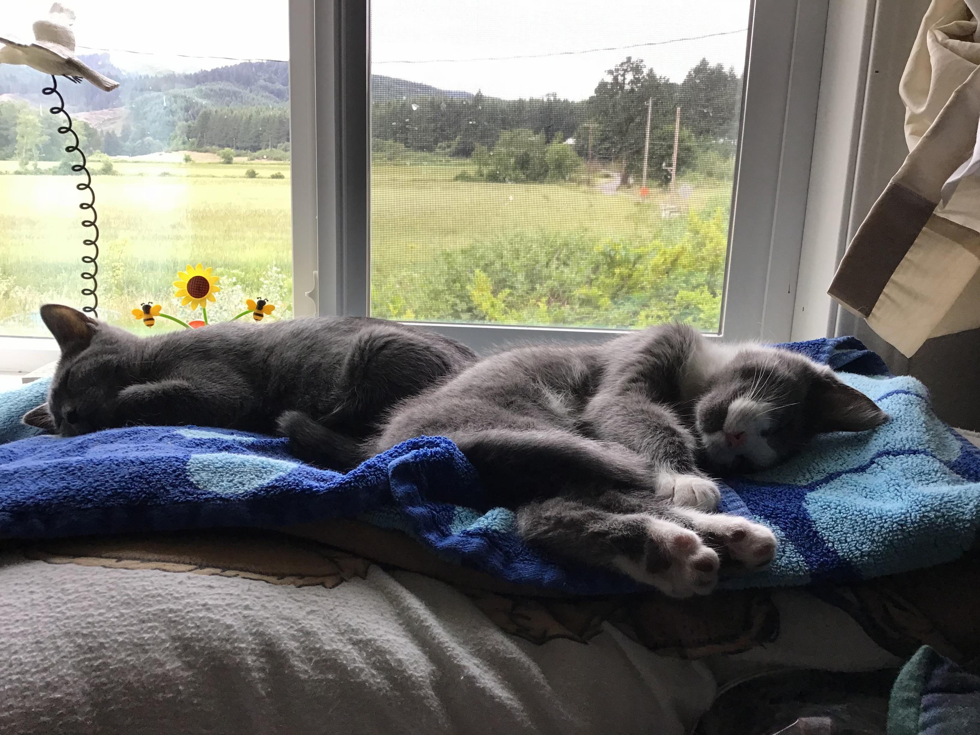 Coworkers Are Sleeping on the Job