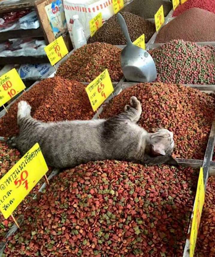 Died and Went to Heaven