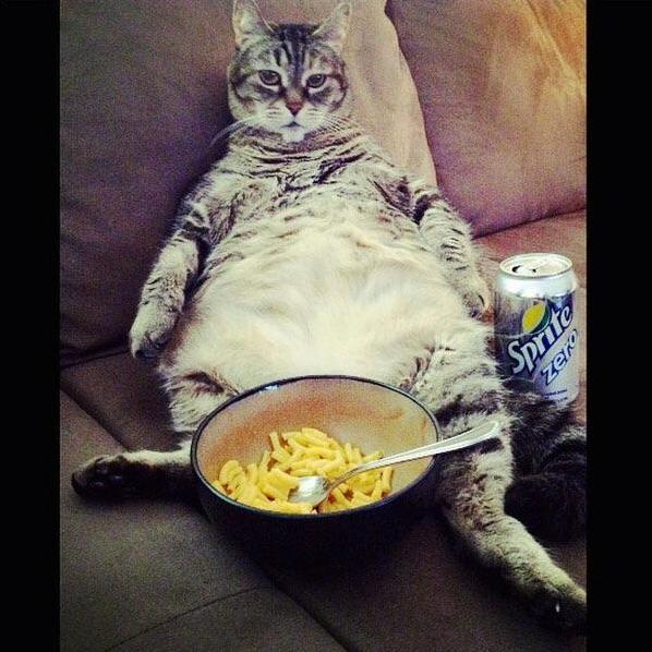 Dont Worry, Its a Diet Soda...